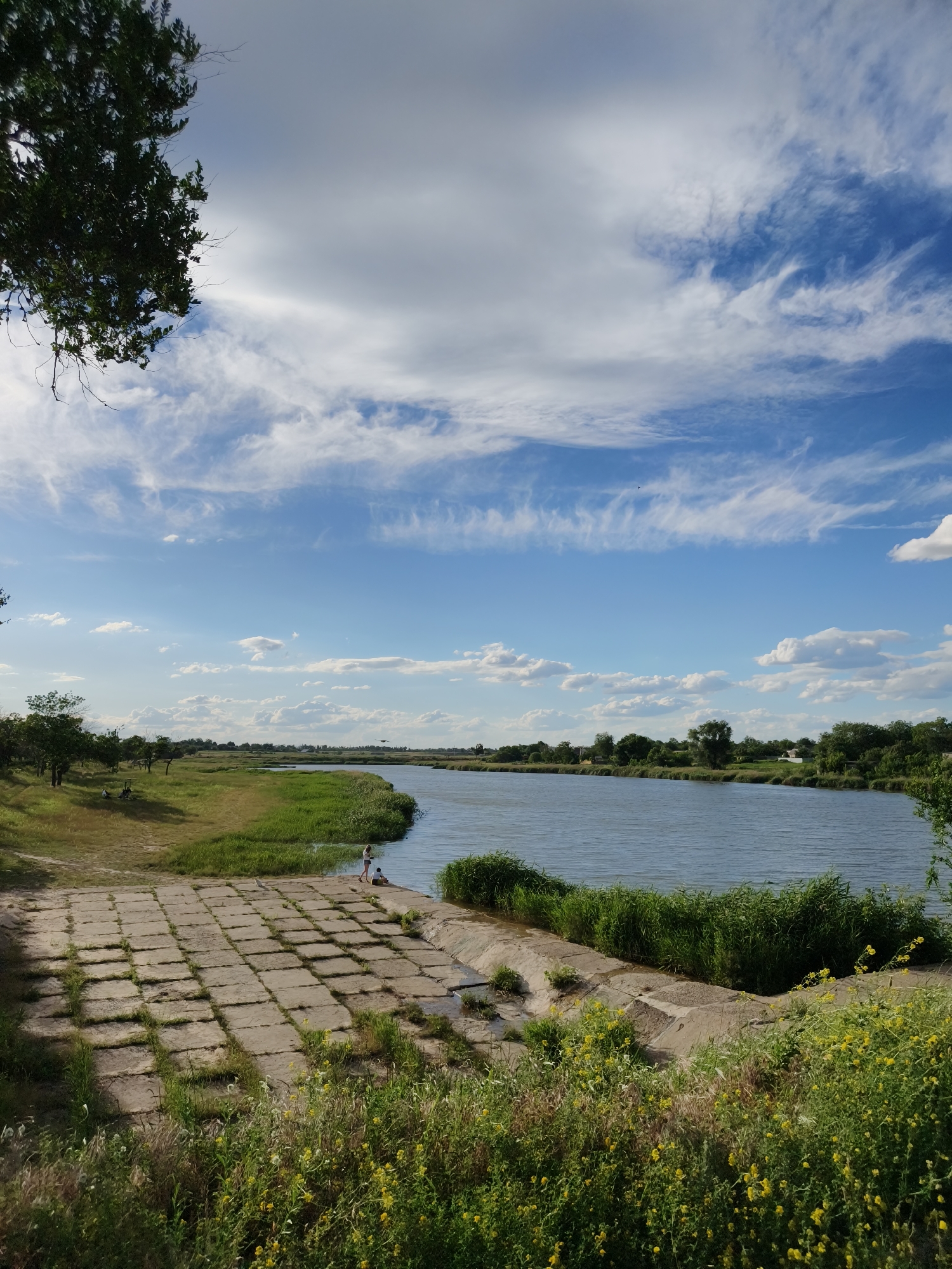 The image captures a scenic view of a riverbank in the city of Shyroka Dacha, Ukraine. A vast expanse of blue sky, dotted with wispy white clouds, dominates the upper portion of the frame. A large tree branch, partially obscuring the sky on the left, suggests the viewer is positioned beneath its canopy.
The middle ground features a wide, calm river with a gentle ripple on its surface. The opposite bank is lined with lush green grass and a dense cluster of trees, creating a verdant backdrop. In the foreground, a concrete embankment, laid out in a grid of square slabs, slopes down towards the water. This embankment is overgrown with tall green grass and dotted with small yellow wildflowers.
On the concrete embankment, near the water's edge, two people are visible. One, a woman in a white top and shorts, stands facing the river. A young child, wearing a white outfit, is seated beside her. Further to the left, on the grassy bank, a few other individuals are scattered, appearing to be enjoying the outdoors. The overall scene conveys a sense of peace and natural beauty.