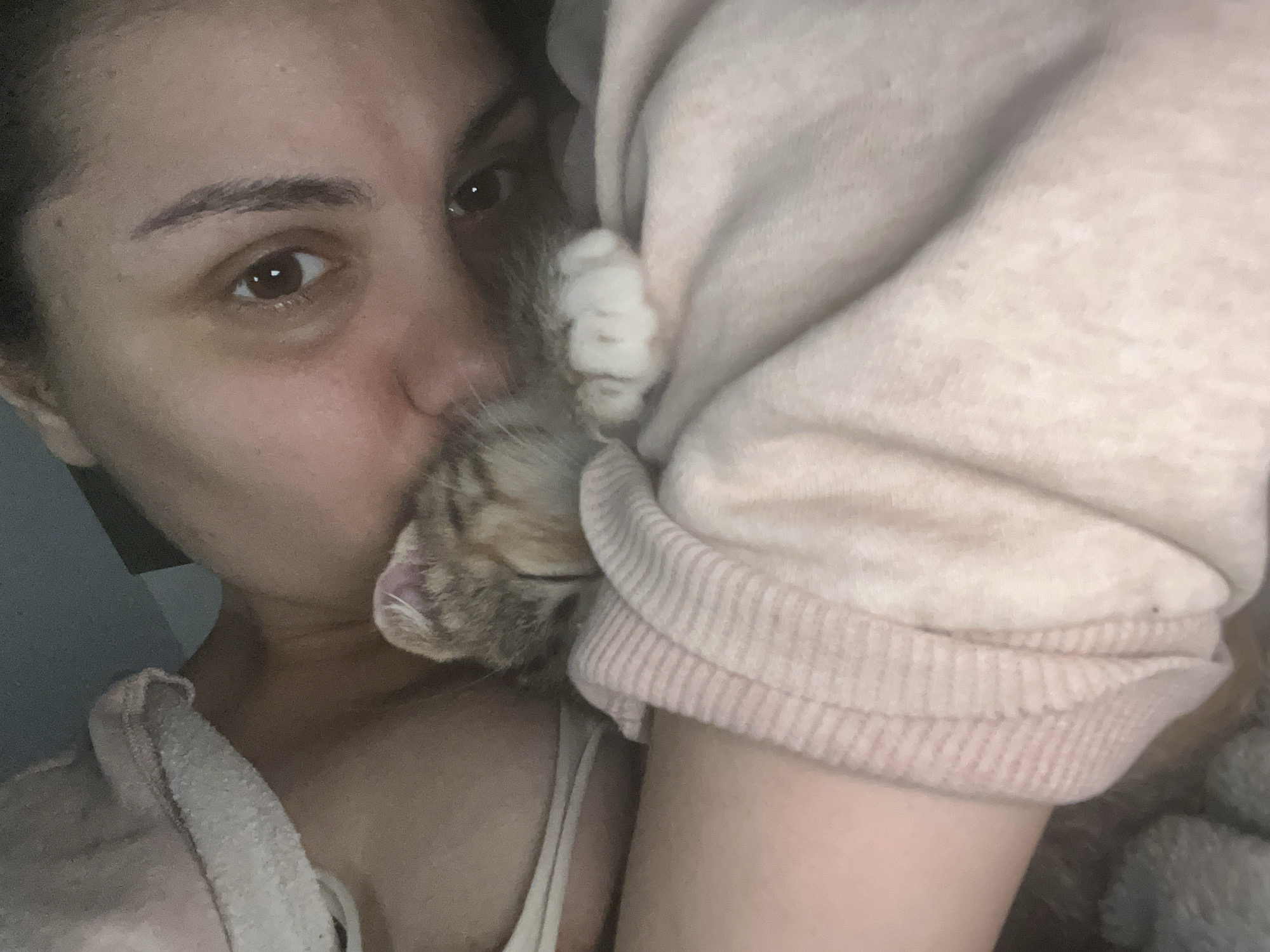 A close-up, overhead shot shows a person lying down, with their head to the right and their arm extended to the left. A small, striped kitten is nestled between the person's face and their shoulder, with its head partially obscured by the person's chin. The kitten's front paws are visible, resting on the person's chest. The person is wearing a light pink, ribbed sweater. The background is blurred and dark, suggesting an indoor environment. The overall scene depicts an intimate moment between the person and the kitten.