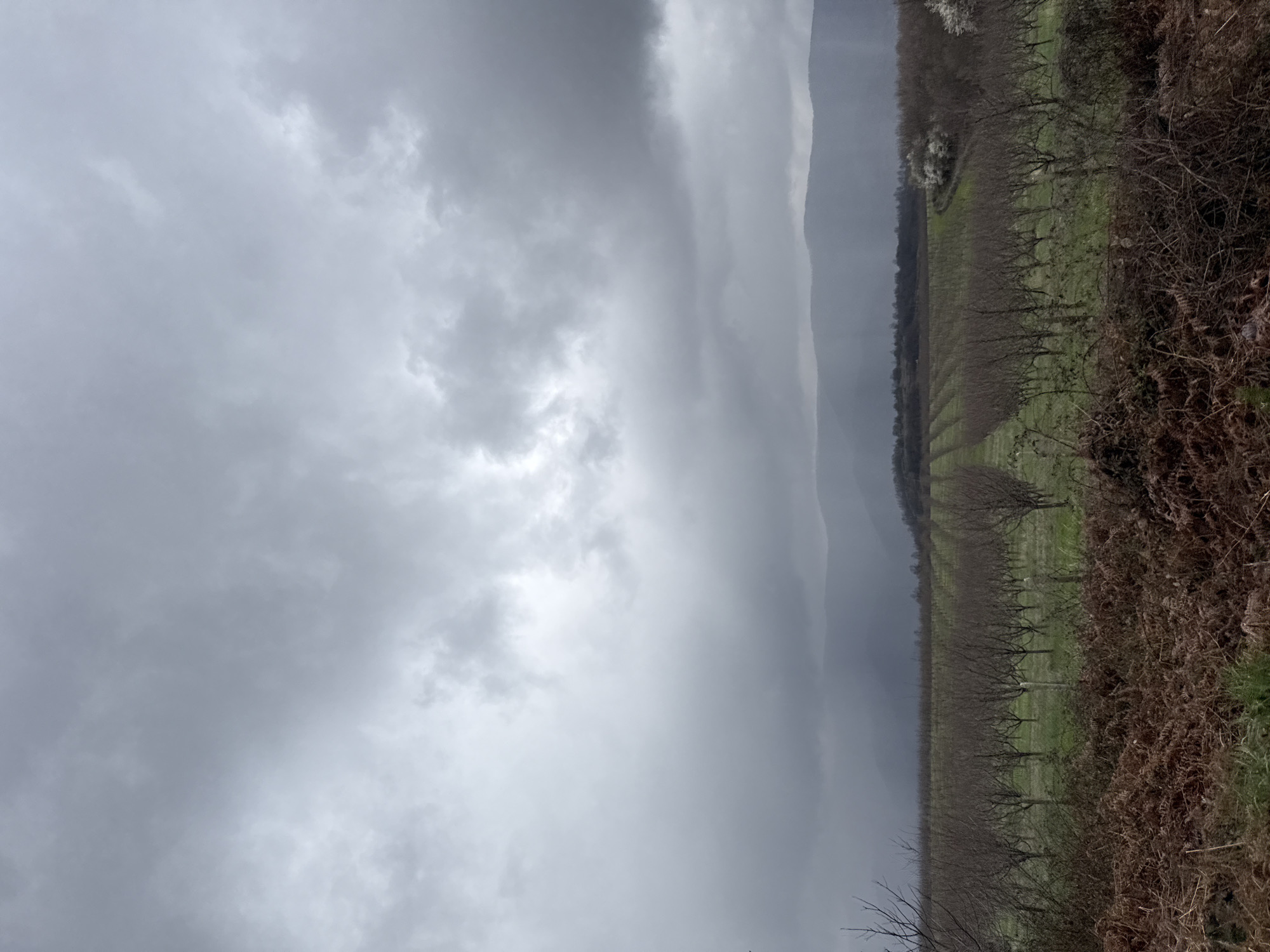 The image shows a landscape under a heavy, overcast sky. The location appears to be near Ugarchin, Bulgaria, based on available information. A field of trees, likely an orchard, extends into the distance, with mountains visible through a break in the rain clouds. The right side of the image features dry, brown foliage. There is no indication of people or other subjects in the scene.