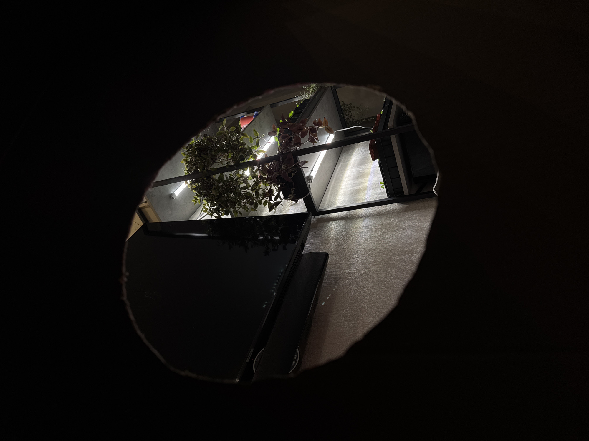 The image shows a view through a roughly circular hole, revealing a room with a modern design. There are indoor plants in hanging pots along a metal shelf structure illuminated by strip lights. A dark, reflective surface, possibly a TV screen or shiny table, occupies the lower left of the hole. The background wall appears to be a light-colored, textured material. The surrounding area outside the hole is dark and undefined. The location in Izhevsk, Russia is not indicated.
