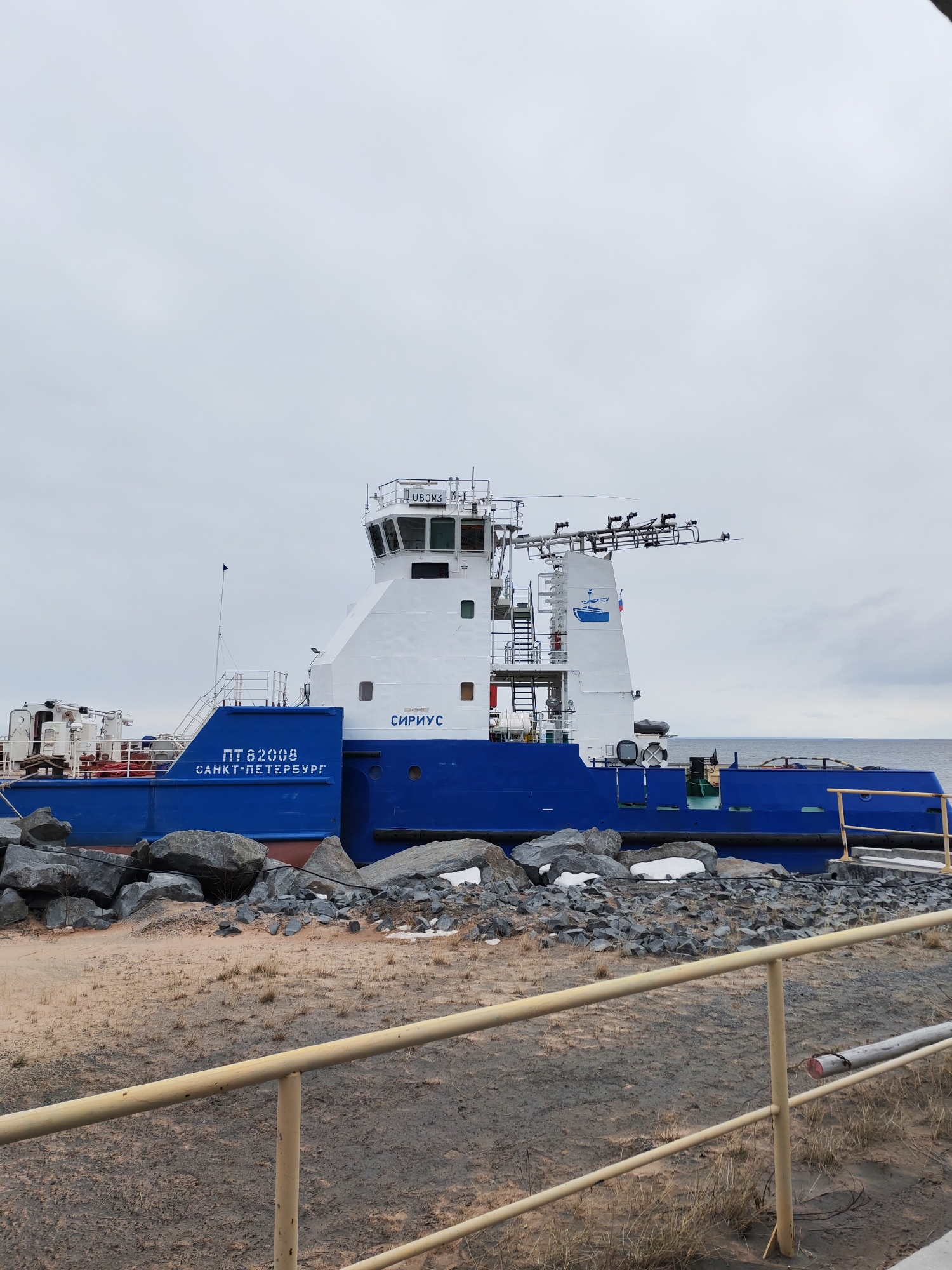 A large blue and white vessel, likely a tugboat or workboat, is the central subject of the image, appearing to be docked or partially beached on a rocky and sandy shore. The boat features a prominent white superstructure with a bridge and a blue hull.
Visible text on the vessel includes its name, "СИРИУС" (SIRIUS), written in blue Cyrillic letters on the white upper structure. Below this, on the blue hull, the registration "ПТ 82008" and the homeport "САНКТ-ПЕТЕРБУРГ" (SAINT PETERSBURG) are displayed. Smaller Cyrillic text, "ЦВОМЭ", is visible on the top part of the bridge. A blue logo depicting a small boat is also present on the white superstructure. The vessel is equipped with various antennas and equipment on its upper deck.
The setting is a shore, with large and small rocks scattered along the waterline, some showing patches of snow, suggesting cold weather or early spring/late autumn. The ground closer to the viewer consists of sand and dirt with sparse dry grass. In the foreground, yellow metal railings run horizontally across the bottom of the frame. Beyond the vessel, a calm body of water, likely a lake or sea, stretches to the horizon under an overcast, light gray sky. The time of day appears to be daytime, under cloudy conditions. No people are visible, and there is no overt activity taking place, giving the scene a tranquil and possibly industrial feel. The location is Shcheleiki, Russia.