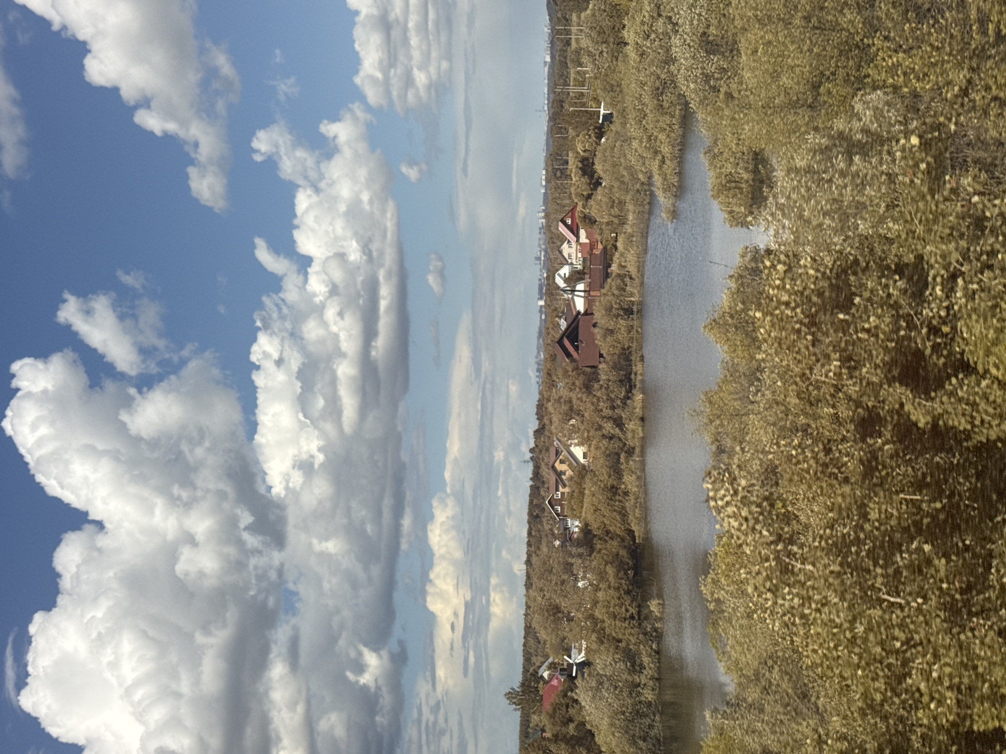 The image depicts a landscape with a body of water flanked by trees and foliage on the right. On the left is a cloudy blue sky. The middle ground features houses with red roofs nestled among the trees. In the distance, structures resembling city buildings are visible. It is assumed the image includes the Bol'shaya Ven'ya, Russia area, but this cannot be confirmed based only on the image. No people or actions are visible in the image.