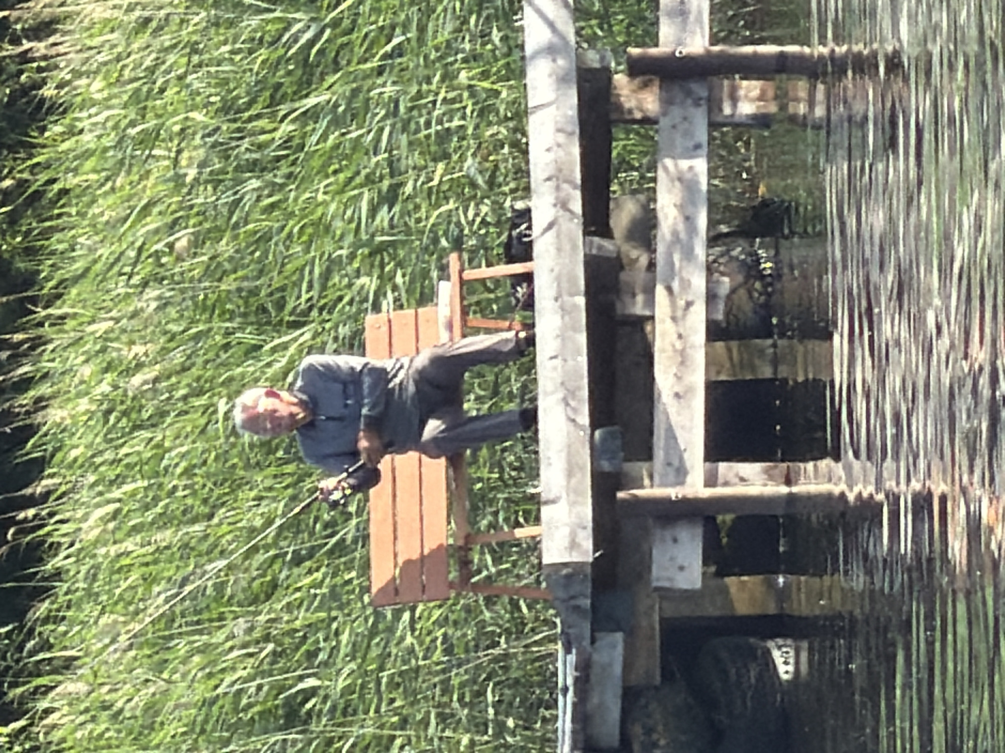 The image captures a man fishing from a wooden platform on a body of water. The man, who appears to be elderly, is wearing a blue shirt and is seated on a wooden chair. He is holding a fishing rod and appears focused on the water. The platform is constructed from weathered wooden planks and posts, suggesting it might be a dock or pier.
The surrounding environment is dominated by lush green reeds or tall grass, indicating a natural setting, possibly a lake, river, or pond. The water surface is visible to the right of the platform, reflecting the surrounding greenery and the wooden structure, creating a rippled effect. The lighting suggests it is daytime, likely a sunny day, given the clear shadows cast by the wooden structure.
The scene evokes a sense of peacefulness and leisure, with the man engaged in a solitary activity. There are no other people visible in the frame, reinforcing the feeling of a quiet, personal moment. The specific location within Ribnitz-Damgarten, Germany, is not visually discernible beyond the general context of a natural water body with a fishing platform. There is no visible text in the image.