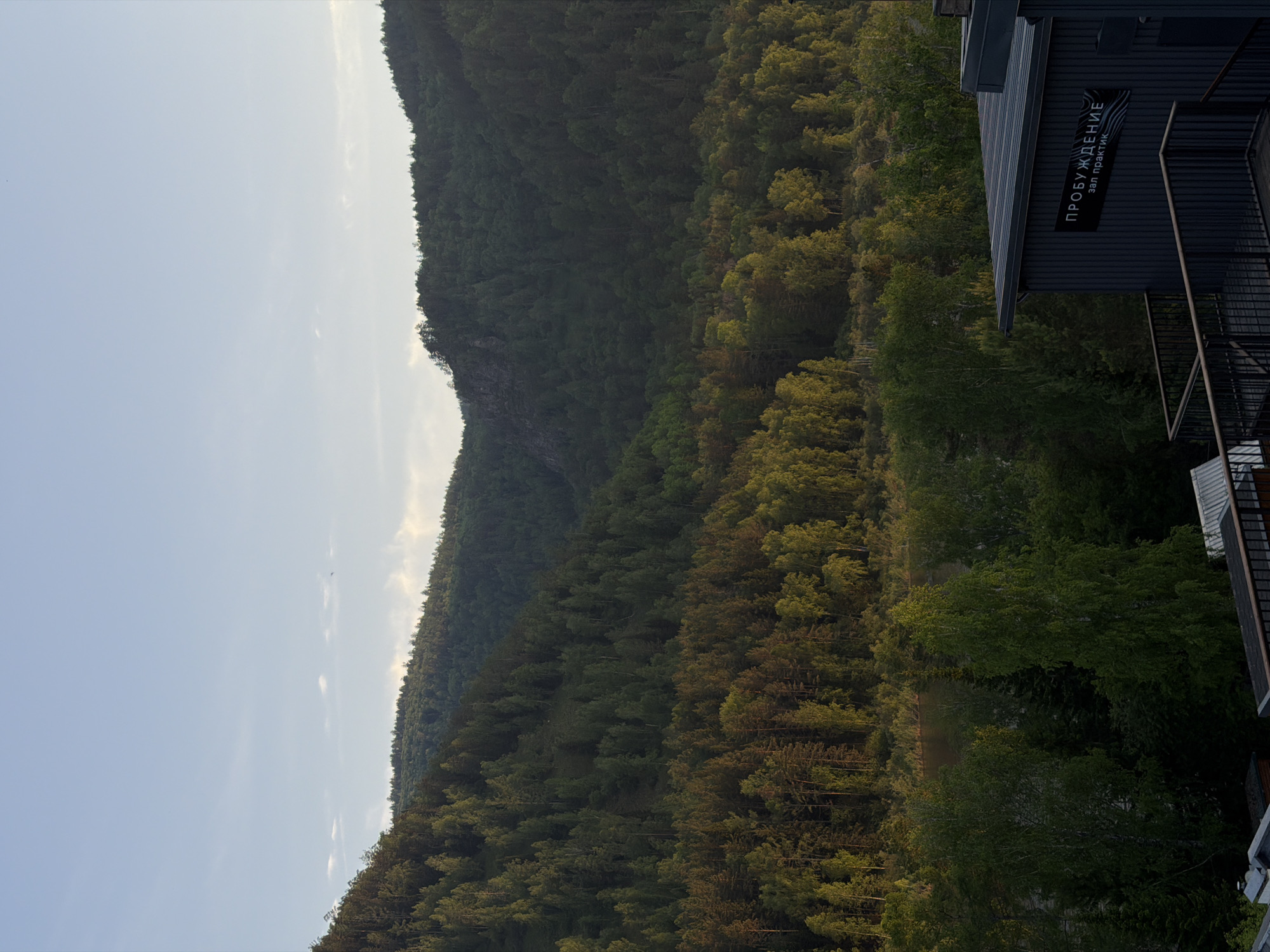 This vertical landscape photograph captures a mountainous, forested river valley, likely within the Mansky District of Russia. The upper third of the image features a pale blue sky with minimal scattered white clouds and a small, dark, airborne object near the top-center. Densely forested mountains, primarily covered in coniferous and some deciduous trees, occupy the mid-ground and background, stretching across the entire frame. The lower mountain slopes are illuminated by low-angle sunlight, highlighting vibrant green and golden-toned foliage, while the upper and distant slopes appear darker green in shadow. A dark, calm river runs horizontally through the mid-section, nestled between the forested banks. In the bottom-right foreground, a segment of a dark-paneled building with a flat roof is visible. A white Cyrillic sign on the building reads "ПРОБУЖДЕНИЕ" (AWAKENING) over "зал практик" (practice hall). A dark metal railing belonging to a balcony or walkway extends from the building. Several tall, slender deciduous trees with bright green leaves are prominent in the immediate foreground, partially obscuring the river and distant mountains. Partial rooftops of other structures are visible in the bottom-left corner.