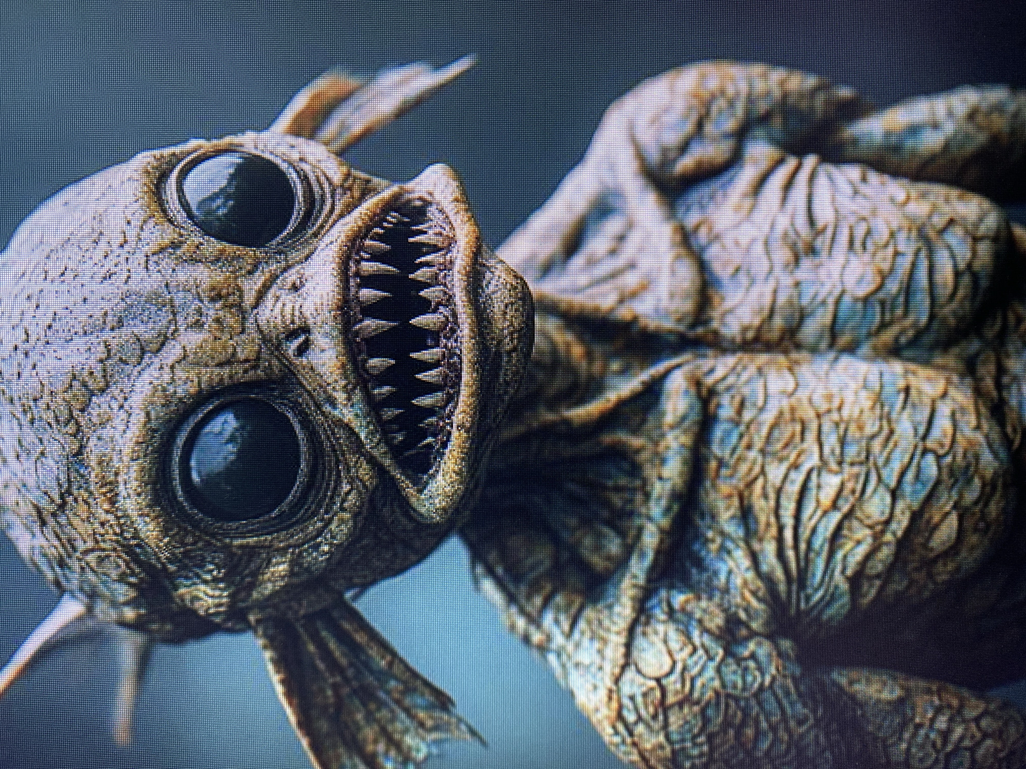 This media file shows a close-up, high-angle, macro shot of a fictional, monstrous fish-like creature, possibly from a video game or CGI animation. The creature's head is prominent, facing towards the viewer and slightly to the left. It has two large, dark, glossy eyes with reflective surfaces that suggest they are looking forward. The creature's mouth is open, revealing rows of sharp, needle-like teeth. The skin or scales of the creature are textured, with a rough, leathery appearance in shades of brown and gray, interspersed with hints of blue and green. The background is dark and out of focus, providing no specific context or setting clues. The lighting appears to be dramatic, highlighting the texture and details of the creature. There is no visible text, people, or discernible weather or time of day information. The creature's expression, with its bared teeth and wide eyes, conveys a sense of aggression or menace. The image is pixelated, indicating it might be a screenshot or a low-resolution display of a digital artwork.