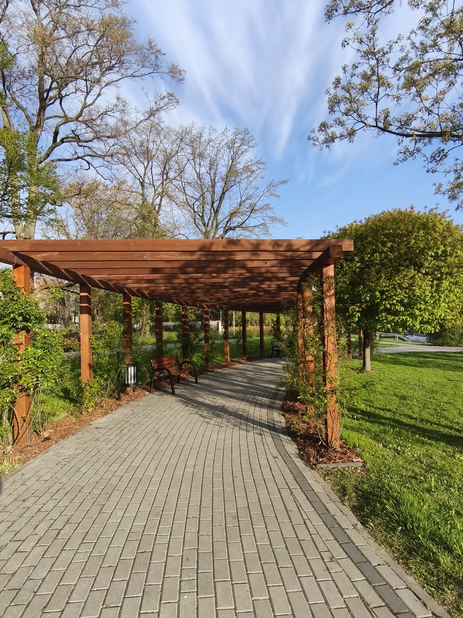 A serene park pathway is captured under a modern wooden pergola, stretching into the distance. The pathway, made of light grey rectangular paving stones, curves gently to the left, leading the viewer deeper into the scene. The pergola, constructed from reddish-brown stained timber, features sturdy vertical posts and numerous horizontal crossbeams, creating a striking architectural element. Lush green climbing plants are trained to grow up the pergola posts, adding a touch of nature to the structure.
Along the paved path, beneath the shade of the pergola, two dark-colored park benches are visible, inviting visitors to rest. A contemporary lamppost with a black and white striped design stands beside one of the benches. To the right of the pathway, a vibrant green lawn stretches out, dotted with several trees, one of which stands prominently with its dense, round canopy of bright green leaves.
The background reveals more trees, some with new, light green foliage, indicating either early spring or early summer, while others still show bare branches against the sky. The sky itself is a clear, bright blue, adorned with long, wispy white clouds that seem to streak across the frame. The lighting suggests a pleasant, sunny day, possibly morning or late afternoon, as evidenced by the long shadows cast by the pergola and trees across the pathway and grass. No people or visible text are present, contributing to the tranquil and peaceful atmosphere of the park setting.