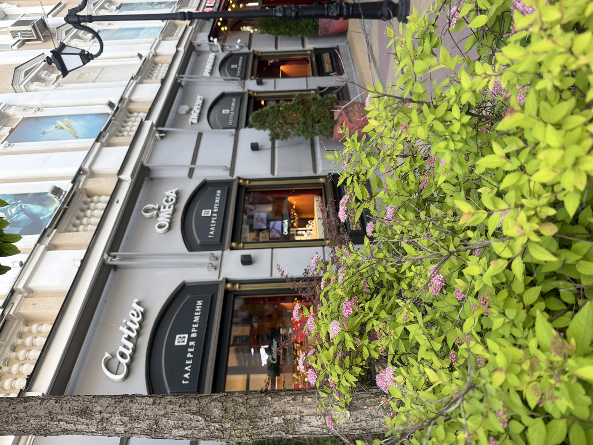 A tilted daytime photograph captures a segment of a commercial street in Rostov-on-Don, Russia, featuring a multi-story building housing luxury retail stores. A vibrant bush with bright green leaves and small pink flowers dominates the right foreground, partially obscuring the storefronts. A tree trunk is visible on the far left.
The building displays classic architectural elements, including decorative white balustrades or moldings between floors. The ground floor is occupied by well-lit luxury brand stores. No people are visible, suggesting a quiet moment.
Prominently displayed brand names on the storefronts include "Cartier," "OMEGA," "TAGHeuer," and "PANERAI." Below these, the Cyrillic text "ГАЛЕРЕЯ ВРЕМЕНИ" (meaning "Gallery of Time") is repeatedly visible on the signs, indicating a luxury watch and jewelry retail complex. A black, ornate street lamp is visible towards the top center. Air conditioning units are mounted on the upper floors of the building.