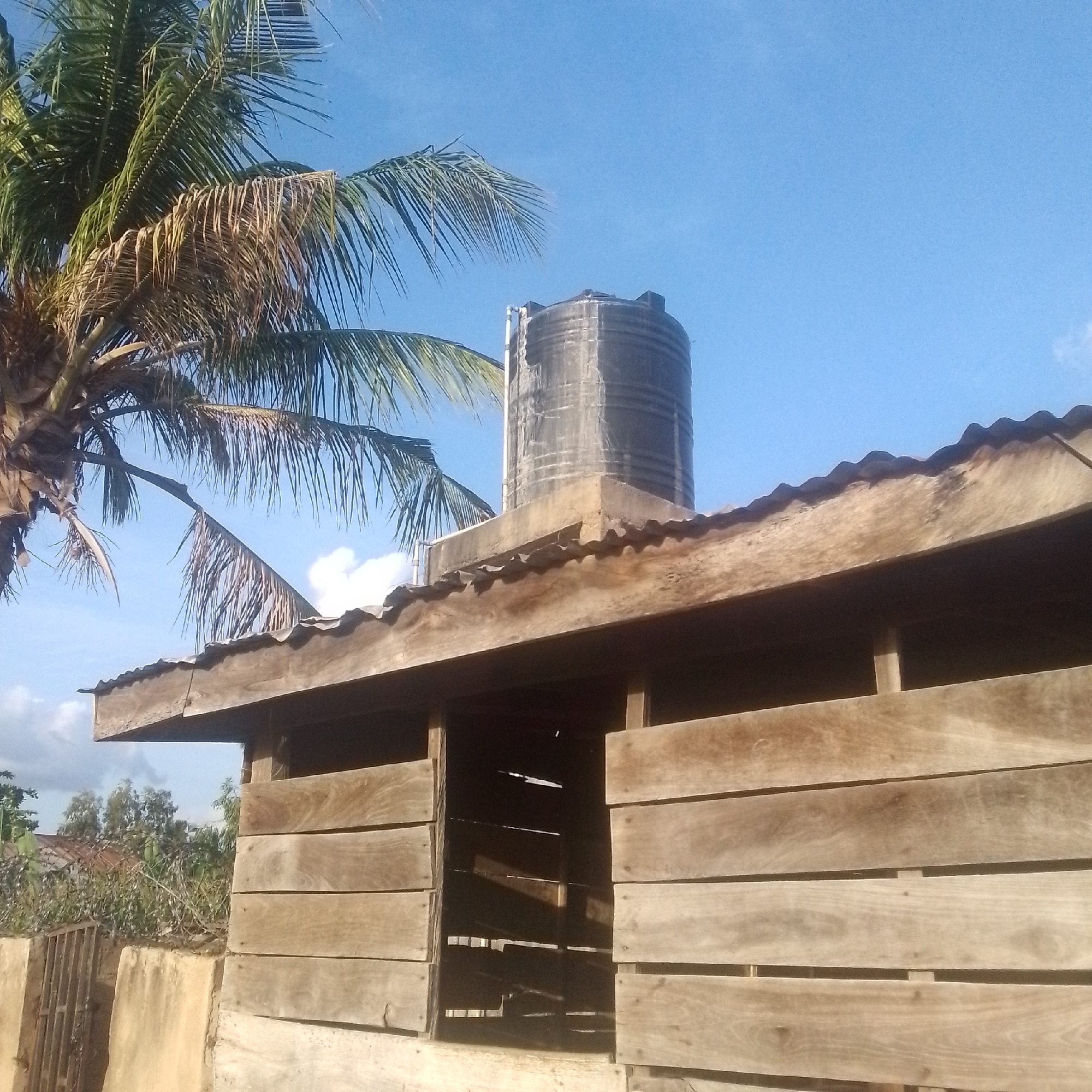 The image depicts an outdoor scene on a clear day, likely in Jalingo, Nigeria. The main subjects are a rustic wooden structure with a corrugated metal roof, a large black water tank elevated on top of the structure, and a palm tree with some dry fronds. The wooden structure appears to be open on one side, revealing an interior filled with shadows. The wooden planks forming the walls are horizontally aligned and show signs of weathering. The water tank is cylindrical with visible horizontal ridges and some discoloration or wear on its surface. A white pipe is attached to the side of the tank, suggesting a connection for water supply or distribution. The palm tree's fronds are predominantly green, but several are dry and brown, adding a textural contrast. In the background, behind the wooden structure, there are glimpses of vegetation, including trees and possibly some fencing. The sky is a bright, cloudless blue, indicating good weather and likely daytime, possibly morning or afternoon due to the strong sunlight casting shadows. There are no people or animals visible in the frame, and no text is present. The overall impression is one of a rural or semi-rural setting where water storage is a significant element.
