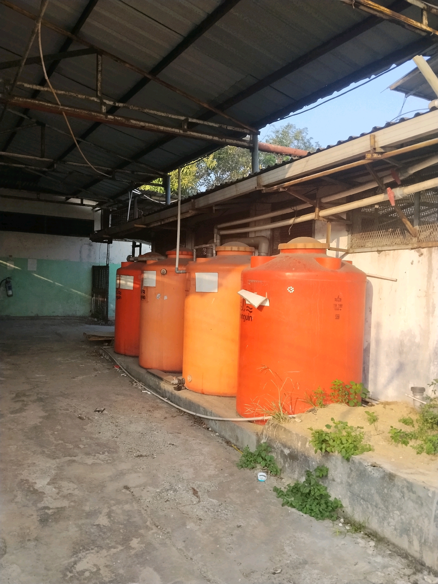The image depicts an outdoor storage area with a corrugated metal roof supported by a weathered metal frame. Several large, orange cylindrical water tanks are lined up against a concrete wall. The ground is a rough, gray concrete surface with some scattered debris and patches of dirt and weeds. A green wall with a diagonal shadow is visible in the background on the left, along with a metal door and a fire extinguisher. The sky is visible through gaps in the roof structure. The scene appears to be located in Suka Nagara, Indonesia, a region known for its agricultural and industrial activities.