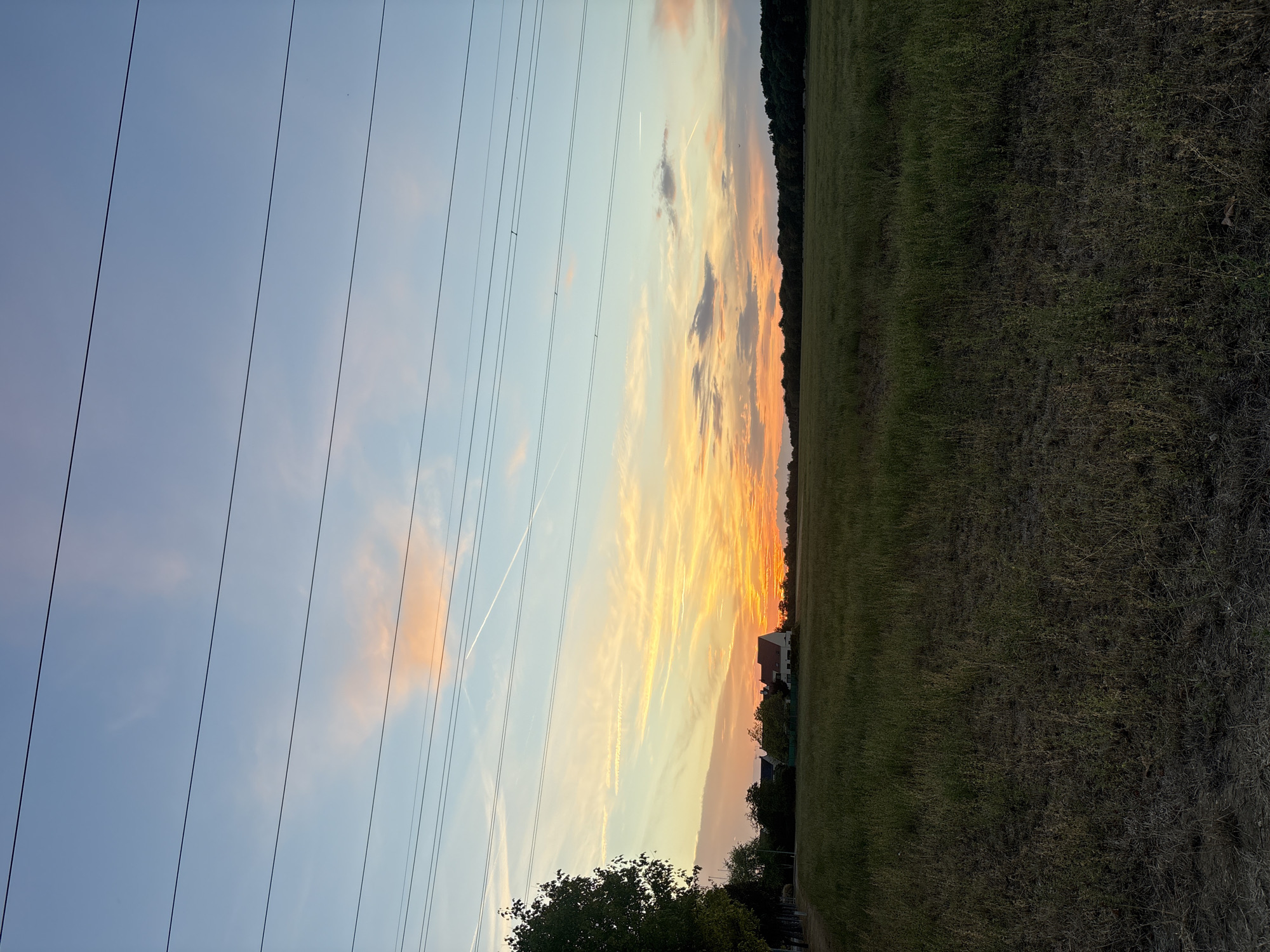 This is a vertical, eye-level, medium-wide shot of a rural landscape at sunset. The sky is a gradient of pale blue at the top, transitioning to hues of peach and orange near the horizon, with wispy clouds. Several power lines run horizontally across the upper portion of the frame.
In the middle ground, to the left, a tree stands tall with dark green foliage. Beyond the tree, a few houses with red-tiled roofs are visible, suggesting a small village or settlement. The houses are set against a backdrop of a treeline that extends across the horizon.
The foreground and middle ground are dominated by a field of dry, yellowish-green grass, suggesting it might be late summer or early autumn. The ground in the immediate foreground appears to be a dirt path. No people or animals are present in the scene. The overall atmosphere is calm and serene, characteristic of a rural sunset. The specific location in the city of Le Mée-sur-Seine, France is not discernible from the visual elements alone.