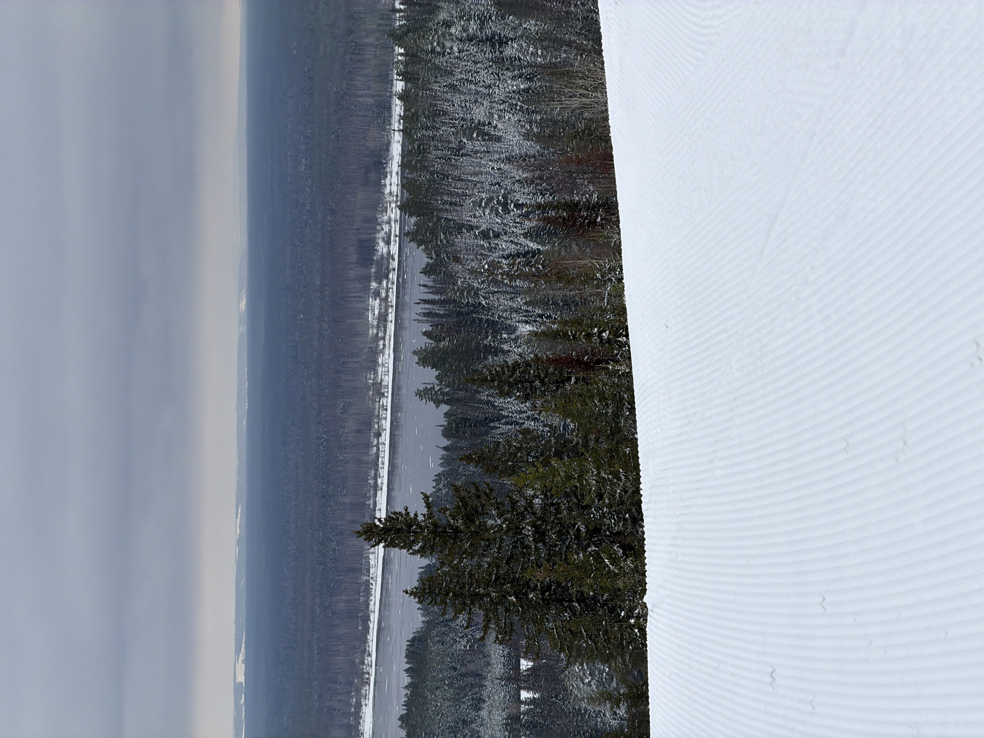 The image shows a winter landscape in Нечкино, Russia. On the right, there's a snow-covered ski slope with visible grooming lines. Adjacent to the slope, a forest of snow-dusted evergreen trees is seen. In the background, there's an overcast sky over a distant landscape. The scene appears to be taken from a high vantage point overlooking the forest and the ski slope.