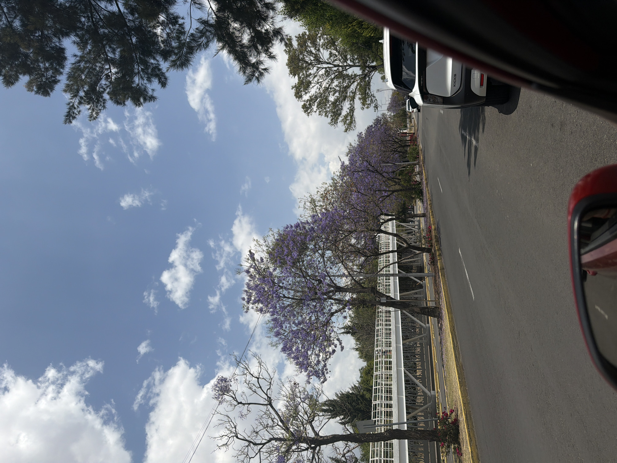 The image depicts a street scene in Puebla, Mexico, as viewed from inside a vehicle. A line of Jacaranda trees in bloom lines the roadside with a pale sky and clouds above. A white car, possibly a Nissan Kicks, is parked along the street. A white guard rail separates the road from an area with shrubbery. The asphalt road shows signs of wear with a lane divider and red car visible in right corner. Dark trees are overhead left, partially obscuring the sky.