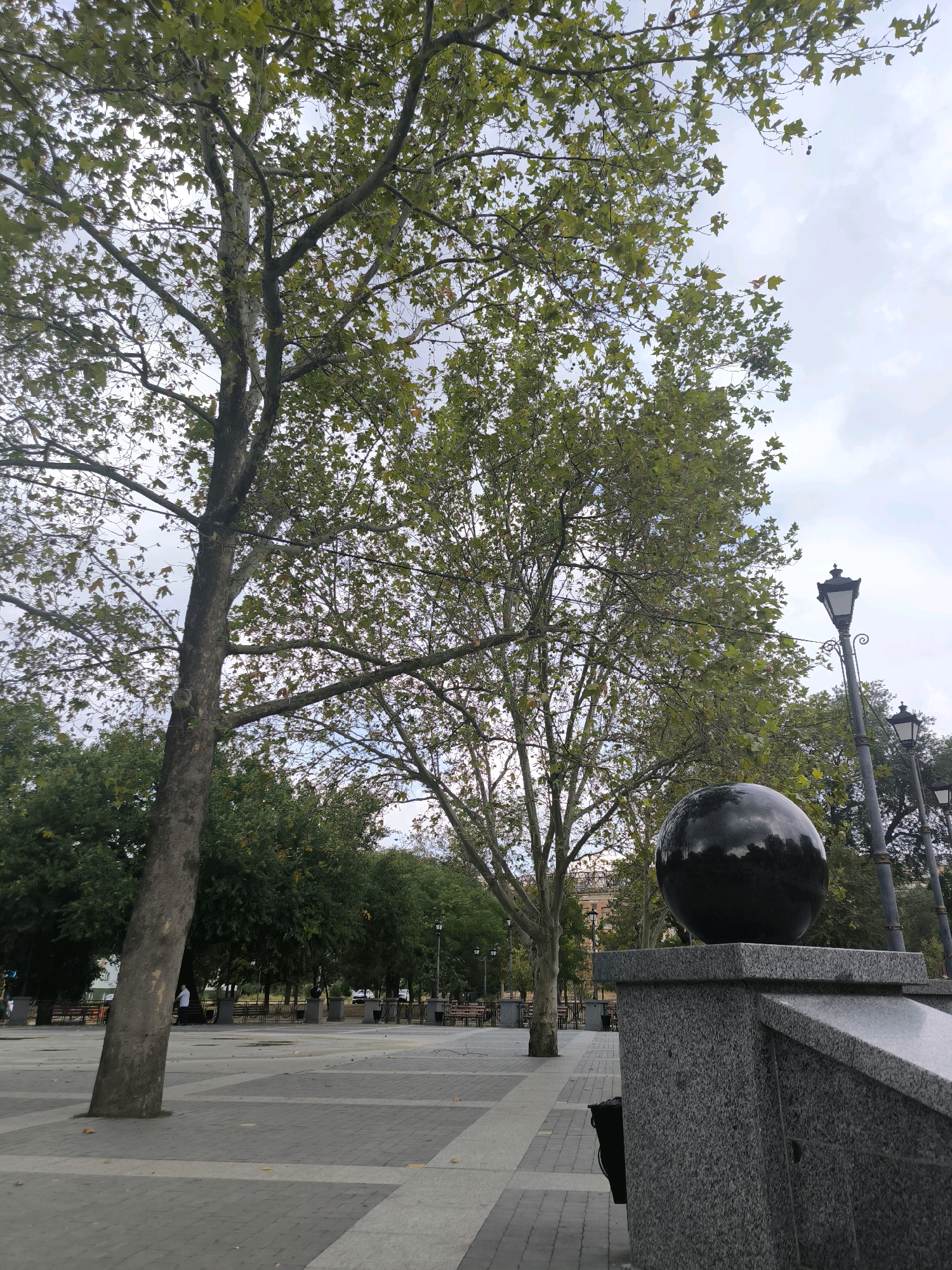 The image depicts an outdoor scene in a public square, likely in Mykolaiv, Ukraine, given the context of the request. In the foreground, a large, polished black sphere rests atop a granite pedestal that forms part of a railing or decorative structure. The sphere reflects the overcast sky and surrounding trees. To the left, a large tree with sparse green leaves dominates the frame, its trunk thick and textured. Behind this tree, the square extends with patterned paving stones and a few scattered benches. Further back, a line of mature trees forms a backdrop, interspersed with lampposts of a classic design. The sky is cloudy, suggesting a temperate day. The overall impression is of a well-maintained urban park or plaza, designed for public leisure.