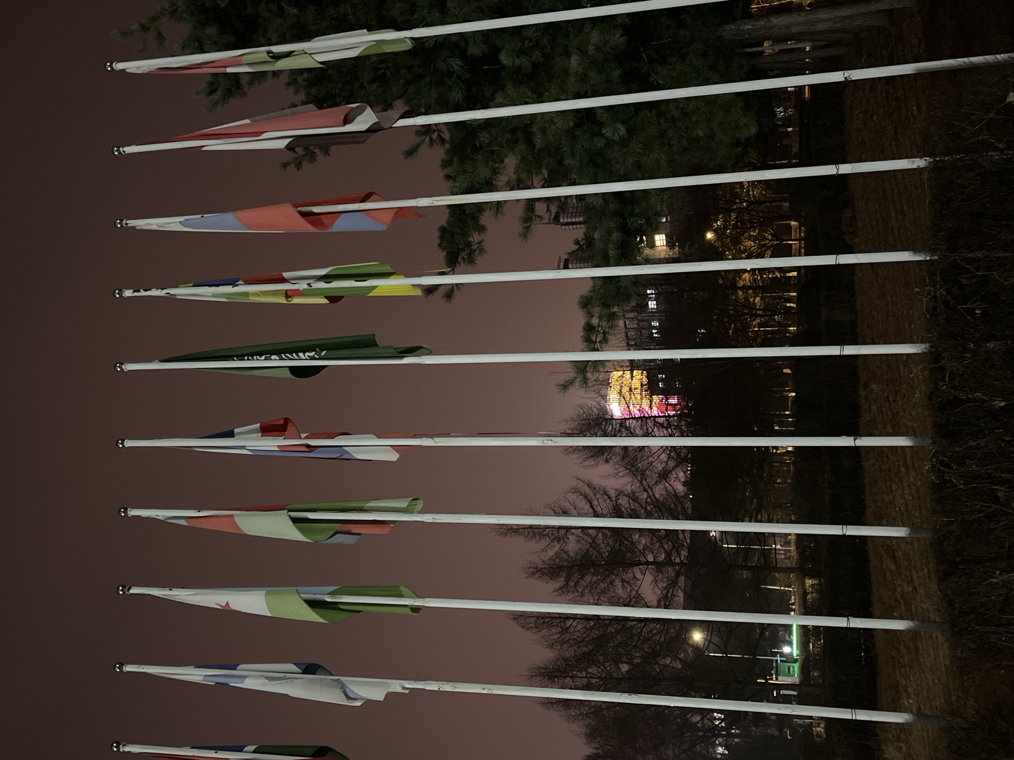 The image shows a series of flagpoles with flags hanging limply. The flags are partially visible, suggesting various designs and colors. The background includes trees and indistinct buildings at night. The environment appears to be a park or public space in an urban setting, given the presence of streetlights and structures. While a specific location is not visually determinable, these elements are consistent with an urban park setting, such as could be found in Changchun City, China.