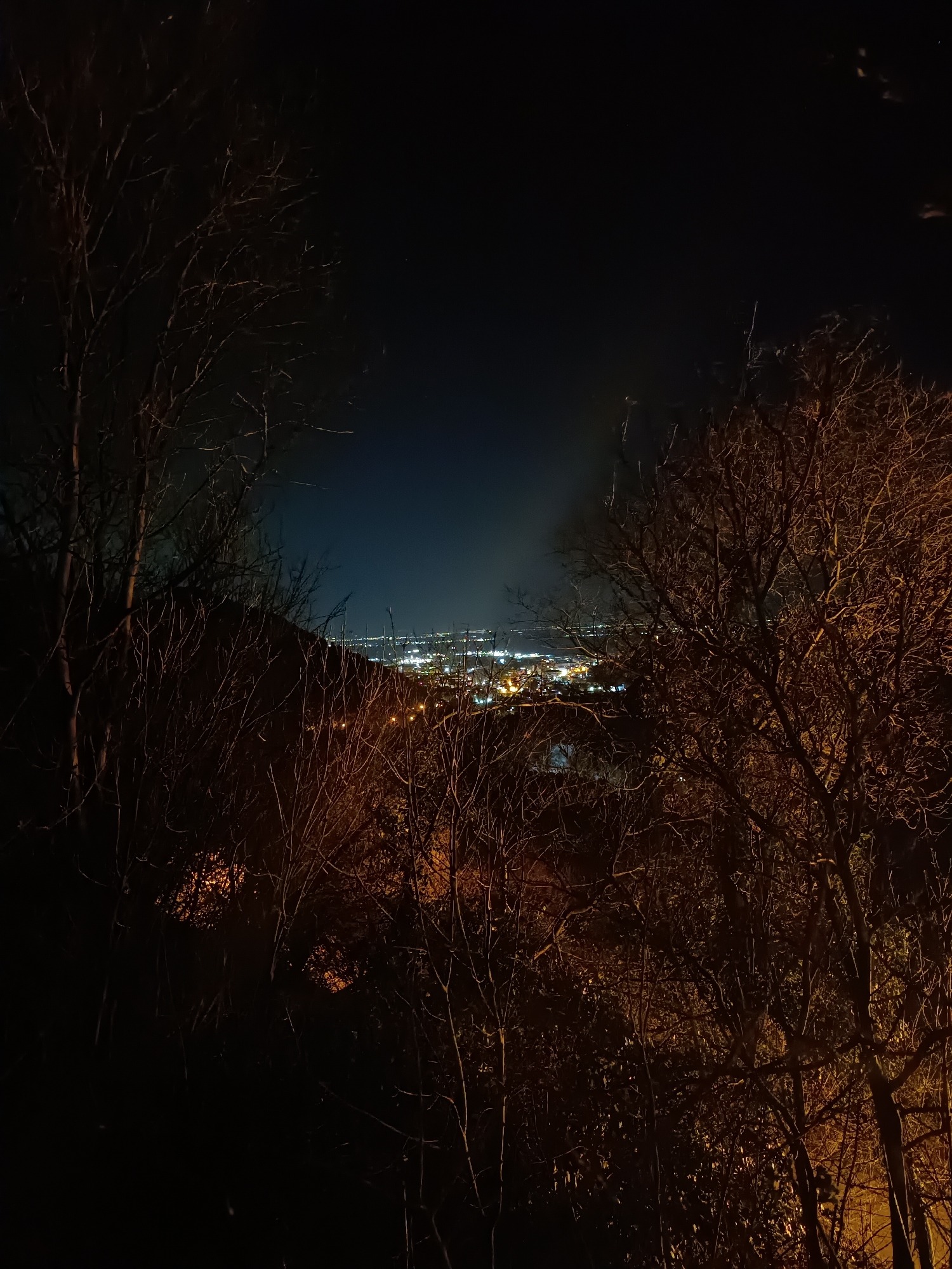 This image presents a nighttime panorama of Asenovgrad, Bulgaria, from an elevated, treed vantage point. The foreground is dominated by a dense arrangement of bare deciduous tree branches, largely silhouetted against the dark sky. Some branches, particularly on the right, show minimal illumination from a warm, orange artificial light source. The midground beneath the trees is indistinct due to darkness. The background reveals the city of Asenovgrad, characterized by a spread of glowing yellow, white, and orange artificial lights that delineate its urban infrastructure and buildings. The dark blue-black night sky exhibits a faint urban light pollution glow near the horizon. No human figures or specific activities are discernible within the frame.