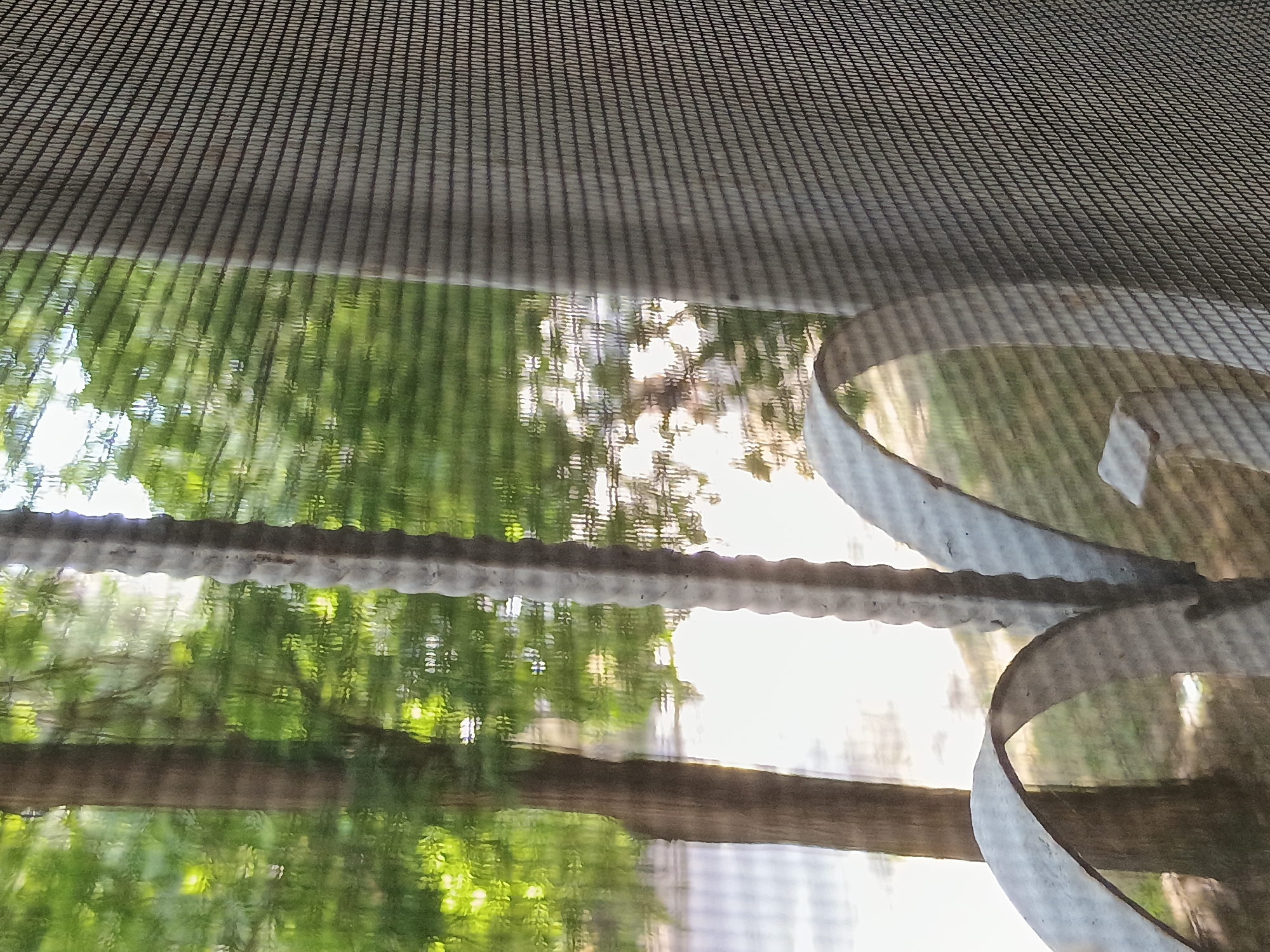 This media file shows a close-up, upside-down view through a window screen. The screen is a dark, finely woven mesh, creating a grid pattern over the entire image. Below the screen, the scene is a reflection on a surface, likely water, causing distortions.
The reflected scene depicts lush green foliage, indicative of trees and possibly other plants, bathed in bright, diffused sunlight. The light filtering through the leaves creates dappled patterns. In the upper right and lower right portions of the image, there are curved, reflective surfaces that appear to be part of a metallic object, possibly sunglasses or a decorative element. These reflections also distort the greenery and light. The overall impression is of an outdoor scene viewed on a bright, sunny day, likely during daylight hours. The presence of the window screen and the reflected environment suggests an indoor perspective looking out. Given the location context of Zaporizhzhia, Ukraine, this could be a residential or public space with surrounding greenery. No people or text are visible.