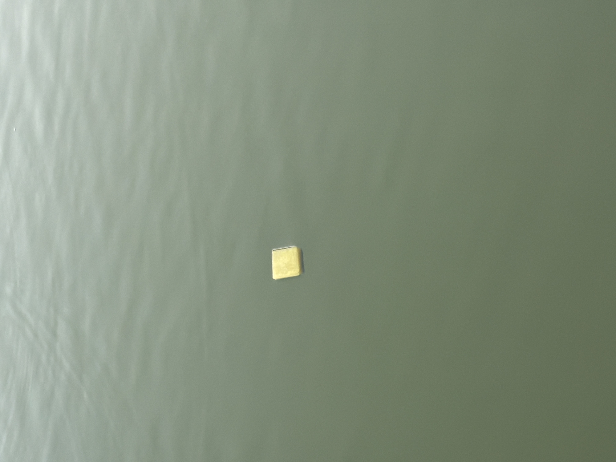 A single, small, gold-colored cube is floating on the surface of murky, green water. The water appears calm with subtle ripples. The cube is positioned slightly off-center to the right of the frame and is the only object clearly visible in the image. The background is entirely composed of the water's surface, which has a muted, greenish-gray tone. There are no visible landmarks or indications of a specific location within the city of Plovdiv, Bulgaria. The image is a static shot, showing no action or interaction.