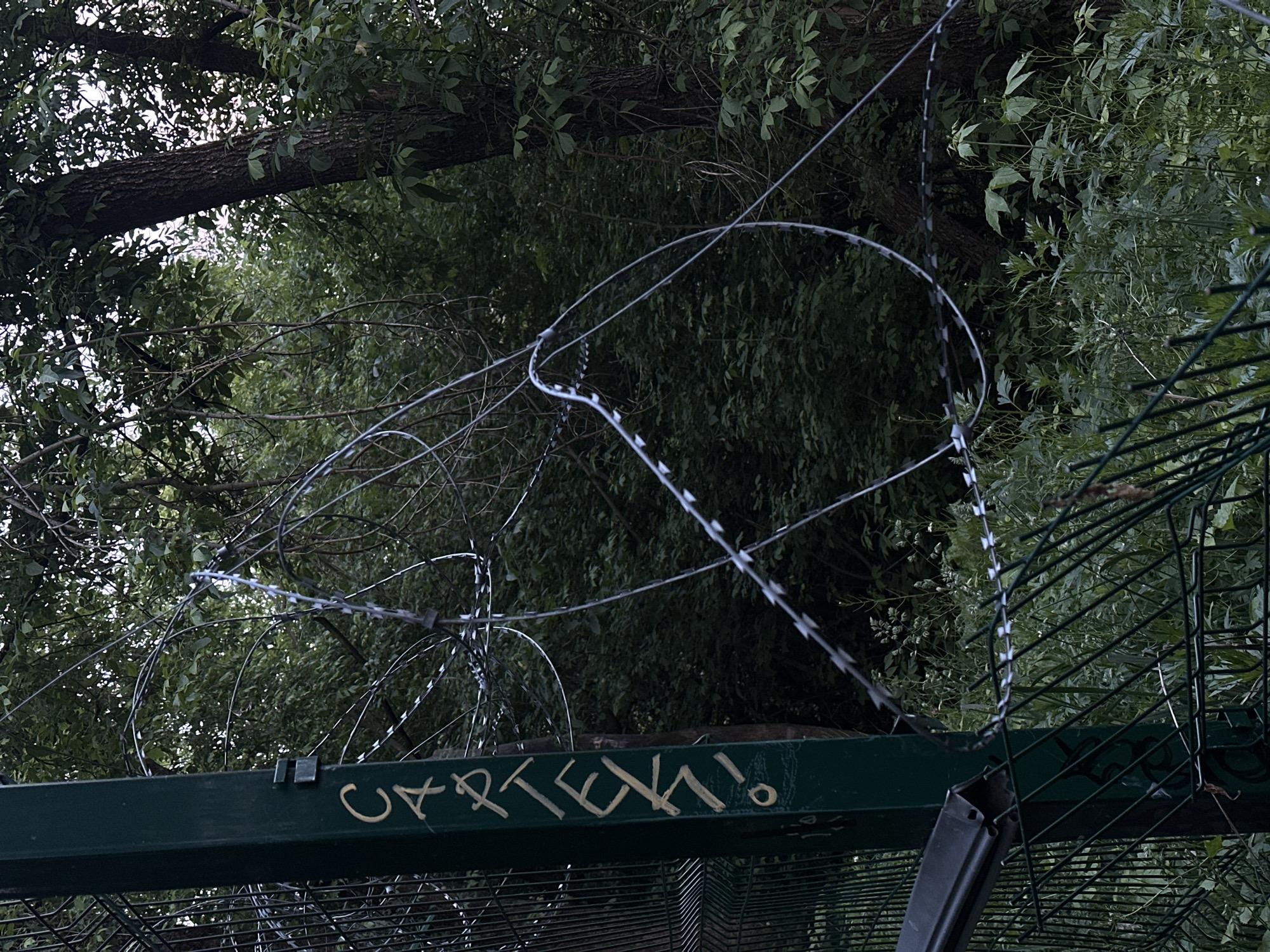 The image shows a security fence topped with razor wire against a backdrop of dense foliage. Graffiti is present on the green metal beam supporting the fence. The location is Moscow, Russia.
