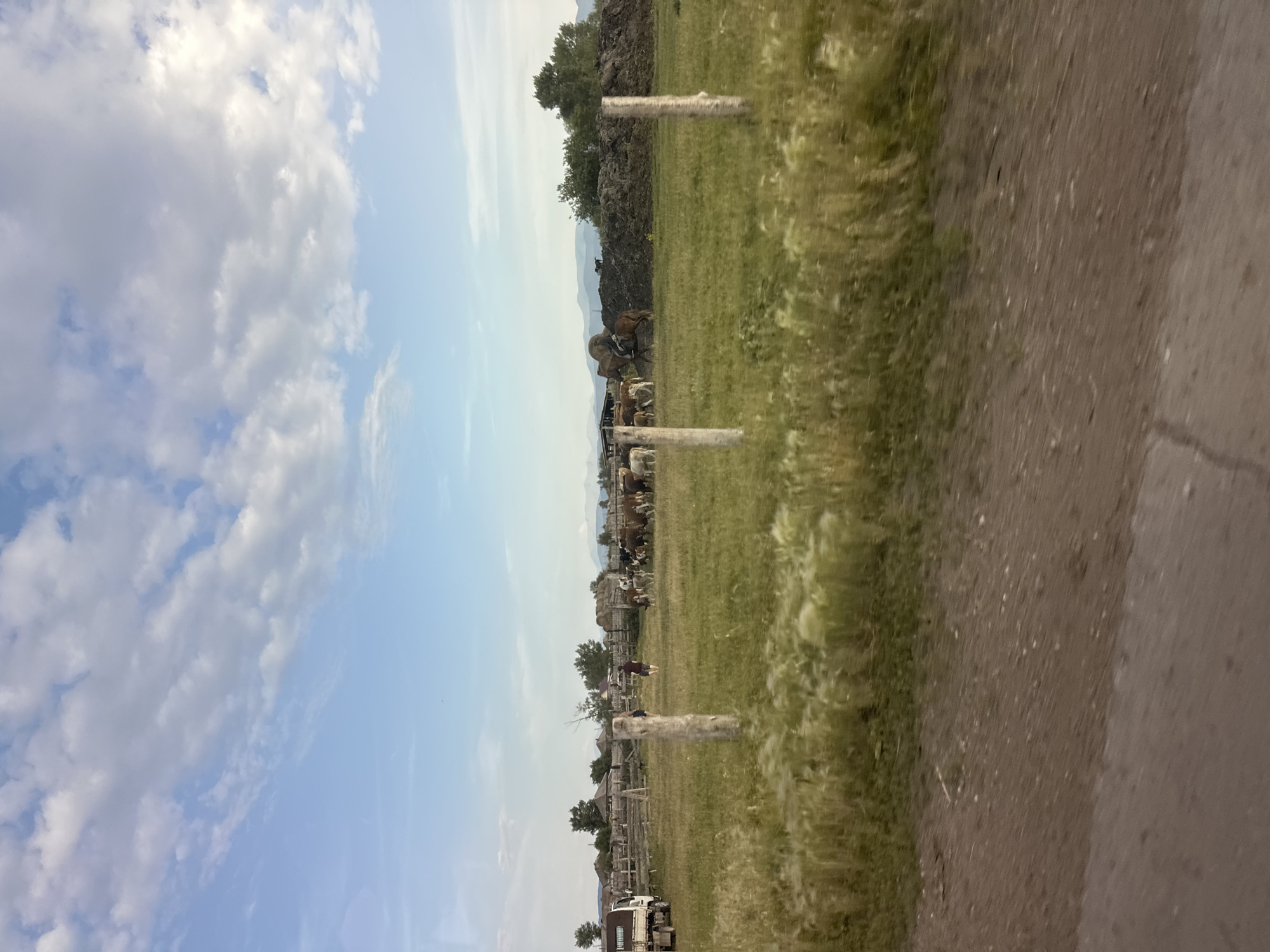 In Novonikolayevka, Russia, a rural landscape unfolds under a sky adorned with scattered white clouds against a pale blue backdrop. The foreground is dominated by a dirt road, with the edge of a grassy field to its right, showcasing tall, wind-blown grasses. Beyond the field, a wooden fence encloses a pasture where cattle graze. A white truck is parked to the left of the fence. Two individuals are visible in the field; one, wearing a dark shirt and shorts, walks towards the right, while another, in a dark reddish-brown garment, stands near a wooden fence post. In the middle ground, a large pile of dark material, possibly manure, is situated. A horse and rider are visible near this pile, with a dark-colored dog standing on top of it. Trees and more distant hills complete the backdrop.