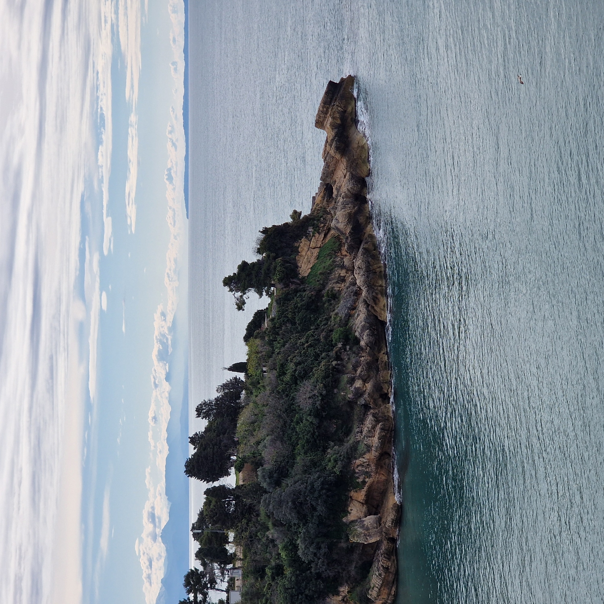 The image captures a rocky peninsula jutting into the Adriatic Sea in Ulcinj-Ulqin, Montenegro. The peninsula is densely covered with trees and vegetation. Rocky cliffs form the edge where the land meets the sea. The water is relatively calm. The sky is partly cloudy.