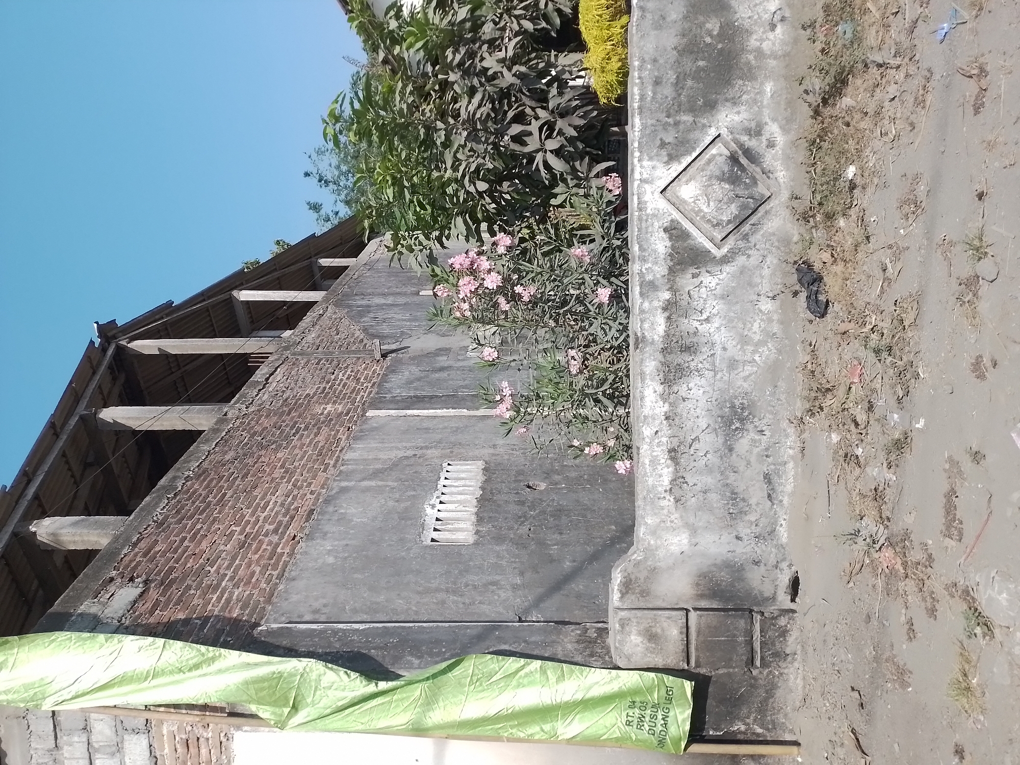 This is a full-shot, eye-level, outdoor, daytime, candid photograph taken in the city of Ngancar, Indonesia. The image depicts a segment of a building's exterior wall with a large, light green tarp hanging on the left side. The wall is constructed of rough, gray concrete and weathered brick. Above the concrete wall, a section of exposed brickwork is visible, topped by a corrugated metal roof supported by concrete pillars.
In front of the wall, a low concrete barrier or planter box runs horizontally across the frame. This barrier has a diamond-shaped indentation in its center. Behind the barrier, vegetation is present. A bush with clusters of small pink flowers is prominent in the mid-ground, partially obscuring a larger, darker-leafed shrub behind it. To the right of these plants, a patch of bright yellow, grassy-like vegetation can be seen.
The ground in the foreground is covered in loose dirt, debris, and scattered dry vegetation. A few pieces of litter, including a black plastic bag on the left and some blue and white plastic fragments on the right, are visible on the ground. The sky above is a clear, bright blue, indicating a sunny day. The overall scene suggests an unkempt urban or semi-urban environment. A sign with Indonesian text, "RT. 04 RW.05 DUSUN ONDANG LEGI", is partially visible on the green tarp on the left side of the image.