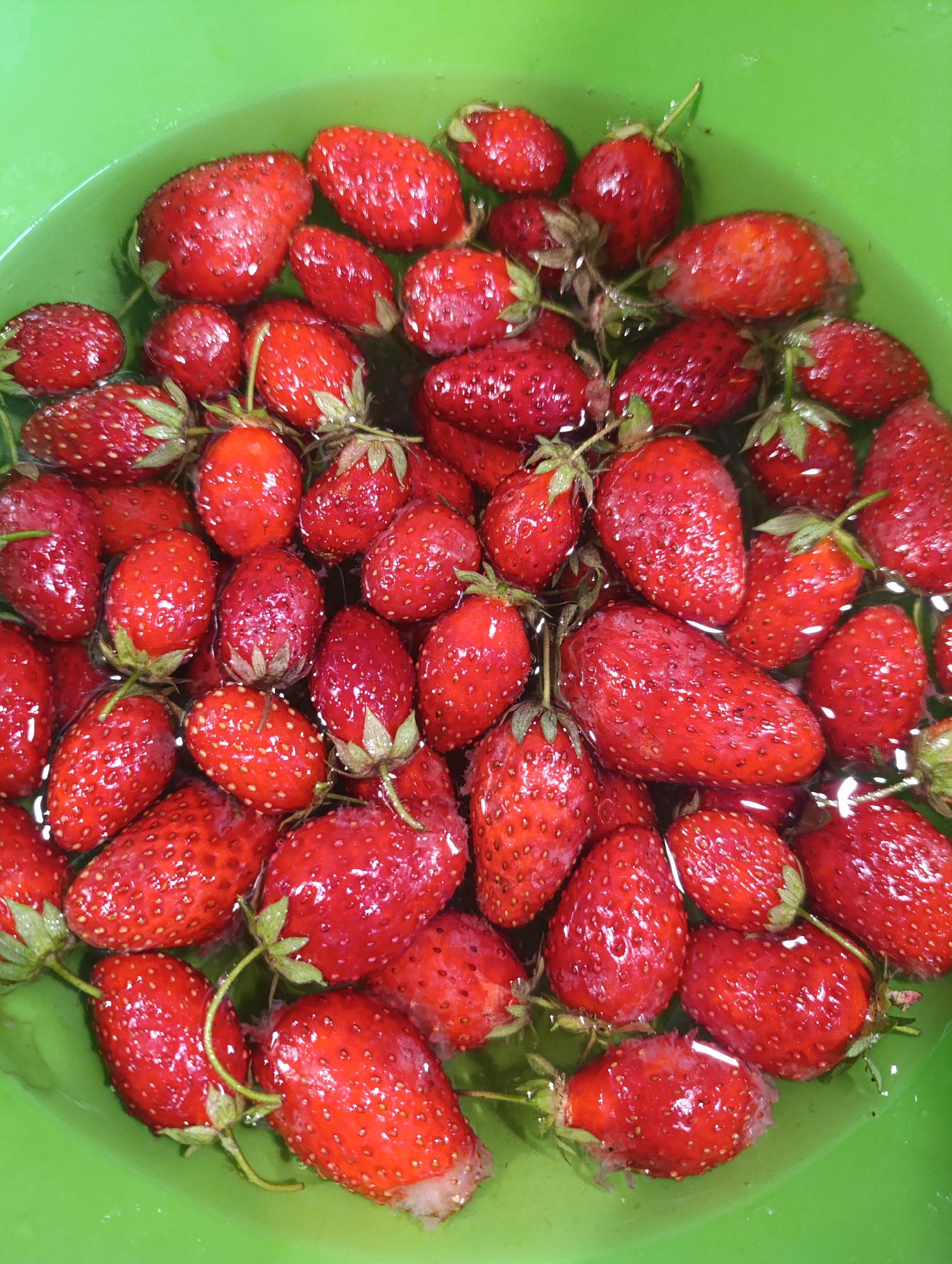 A close-up, overhead shot features a green plastic bowl filled with ripe, red strawberries. The strawberries are clustered together, partially submerged in clear water, creating a glistening effect. The natural textures of the strawberries, including their seeds and green stems, are visible. The lighting highlights the glossy surface of the fruit.