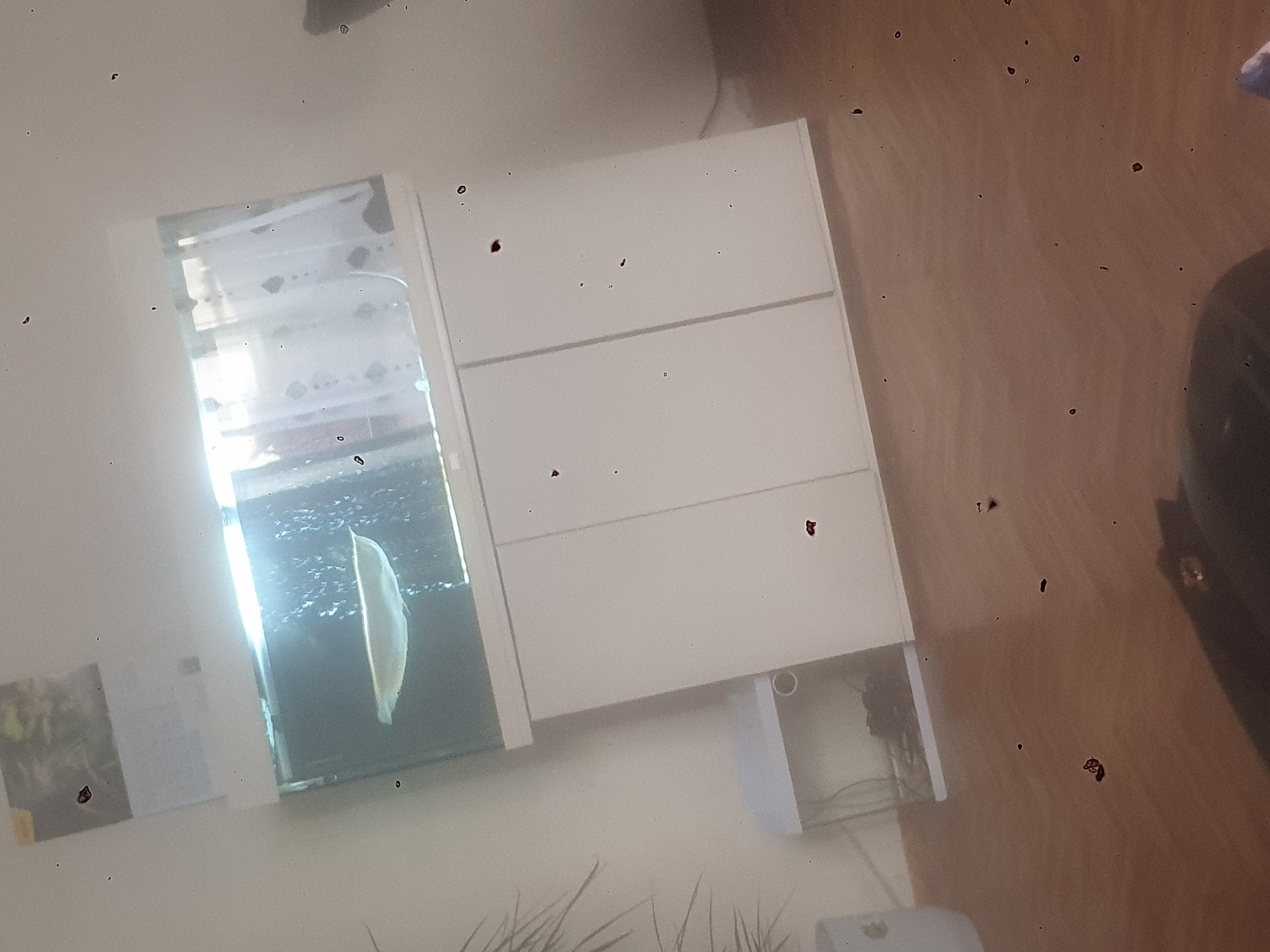The image, rotated clockwise, depicts an indoor scene, likely a room in a residence located in Schaerbeek - Schaarbeek, Belgium. The primary subjects are a large white dresser or cabinet with three visible drawers, and an adjacent aquarium.
The aquarium, positioned to the left of the dresser, contains water and a large, light-colored fish, possibly an Arowana, which is seen swimming vertically. Bright reflections are visible on the aquarium glass, suggesting a strong light source or window nearby. Below the dresser, an open compartment reveals some wires or internal components.
To the left of the aquarium, on a light-colored wall, a rectangular item, possibly a framed picture or document with green foliage, is partially visible. The floor is made of light brown wood. Throughout the image, numerous dark specks are present on the wall, dresser, and floor, which could be dust, debris, or artifacts from the camera lens.
The overall lighting is bright, suggesting it is daytime. No people are present, and no specific activities are taking place beyond the fish swimming. There is no visible text in the image. The scene conveys a quiet, domestic environment.