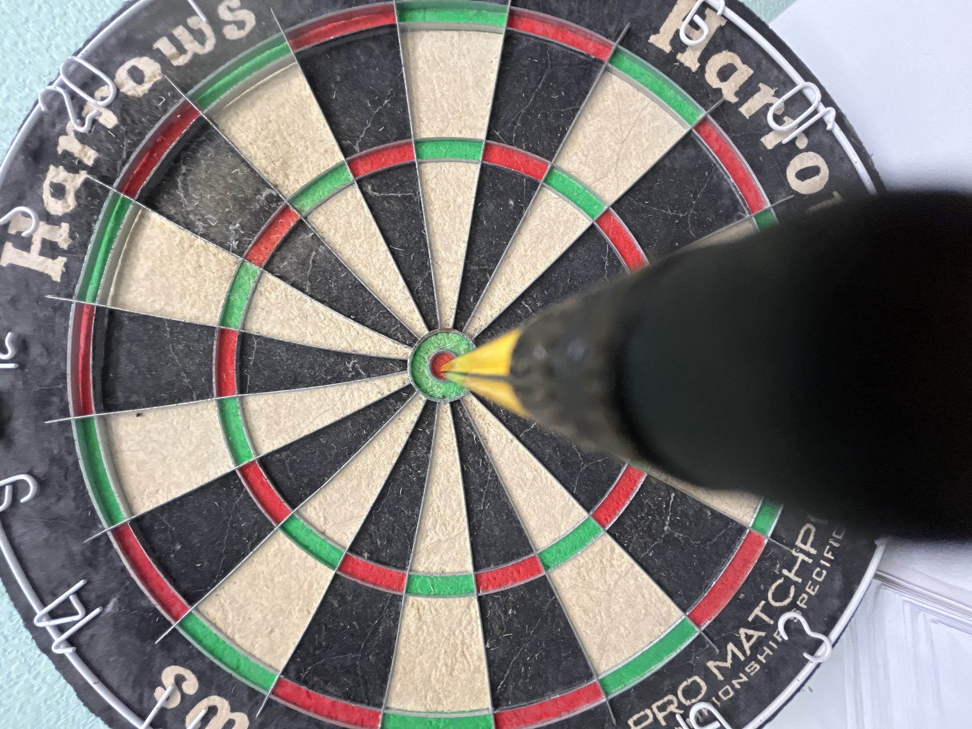 A close-up shot depicts a dartboard with a dart lodged in the bullseye. The dartboard is a standard model, with alternating black and white sections, delineated by red and green rings. The brand name "Harrows" is visible on the top, and "PRO MATCH SPECIFIC" appears on the bottom. The dart is black with a yellow flight. The scene does not contain information about the location in the city of Chaikovsky, Russia.