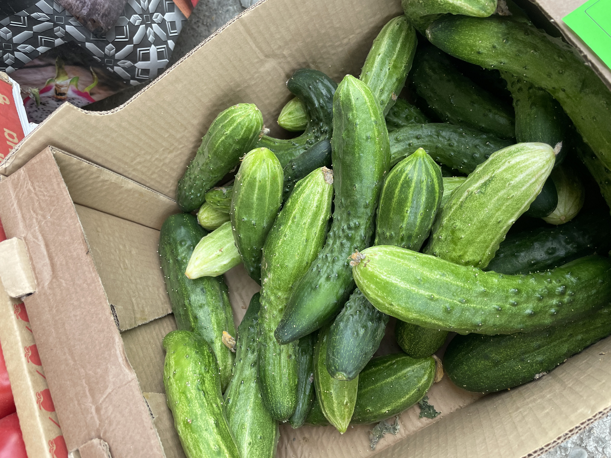 The image shows a cardboard box filled with green cucumbers. The cucumbers vary in size and shade of green, some having a lighter, almost yellowish hue. The box appears to be on a surface outdoors, with parts of other items visible in the upper left corner. The location is unspecified but presumed to be in Olginka, Russia, based on external information. No people, specific actions, or interactions are depicted.