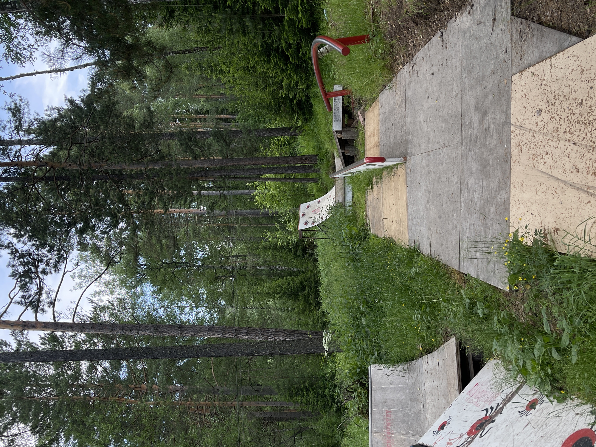 The image shows an outdoor scene in Divnogorsk, Russia, likely a park or recreational area with a skate park element. The setting is a forest, with tall pine trees and lush green undergrowth. The sky is visible through the trees, appearing partly cloudy.
The foreground features parts of a skate ramp or obstacle, constructed from wood and concrete. A red metal rail is attached to one of the wooden structures. Another wooden ramp section, decorated with a red and white ladybug design, is visible. The ramps appear to be outdoors, situated amidst the natural forest environment.
There is no visible activity taking place in the image; it appears to be a still shot. The time of day is not explicitly indicated, but the bright sky suggests daylight, possibly late morning or early afternoon. The weather appears to be mild and green, with vibrant vegetation.
One notable detail is the text "ROCK COUNTRY" partially visible in red lettering on a concrete structure in the lower right portion of the image. The overall mood is peaceful and natural, with a touch of urban recreational element integrated into the forest landscape.