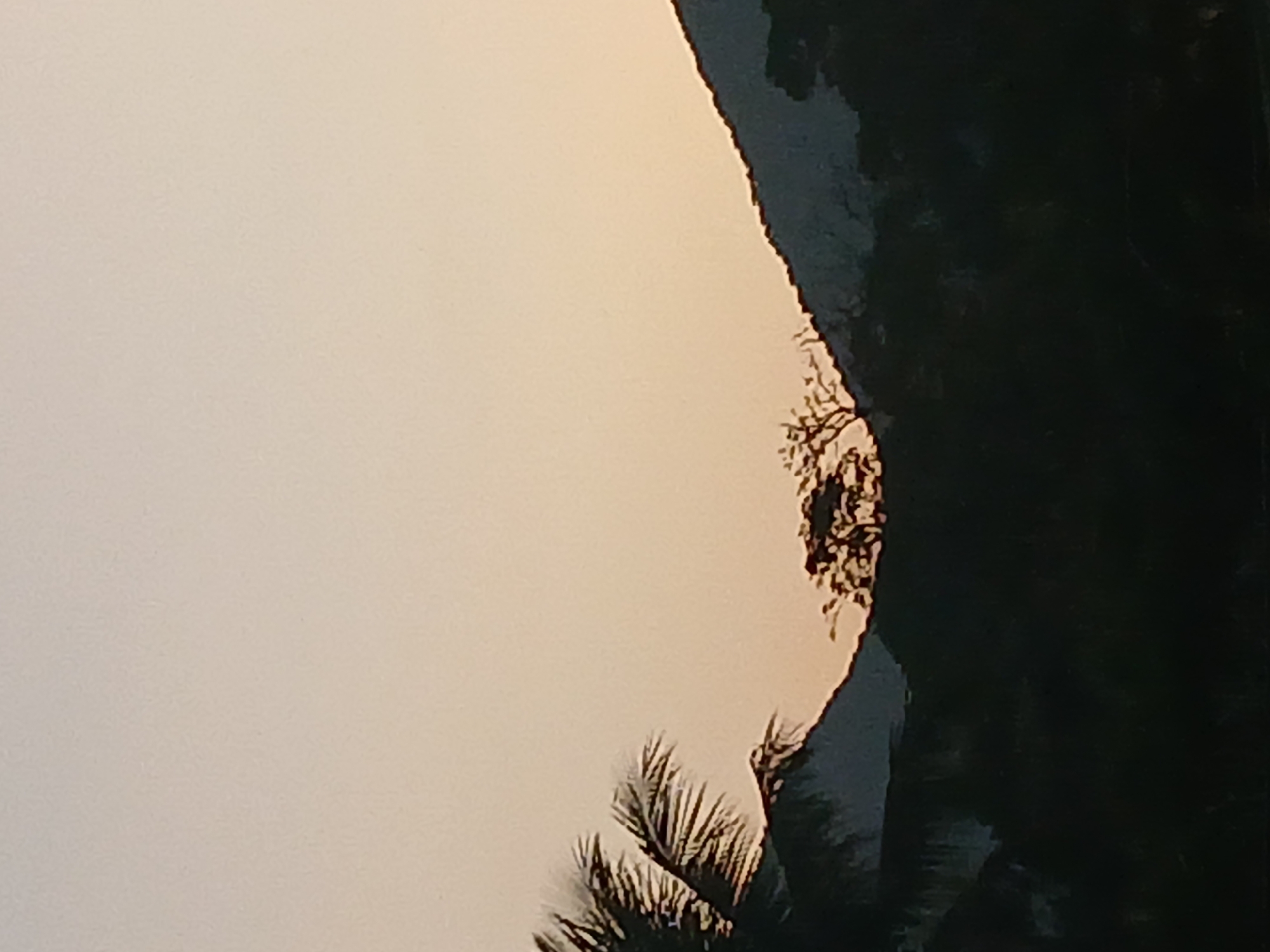The image shows a silhouetted landscape at dusk or dawn with a soft gradient of orange and yellow in the sky. In the foreground, the dark silhouettes of palm fronds are visible on the left, with the jagged, dark outlines of trees and hills filling the lower half of the image. The top of two mountains are visible, their slopes covered in dark foliage. A single, bare tree branches out from the peak of the left mountain. The scene suggests a tropical or subtropical environment. Given the mention of Rio de Janeiro, Brazil, this could be a view of the city's surrounding mountains, possibly overlooking the coastline or a bay.