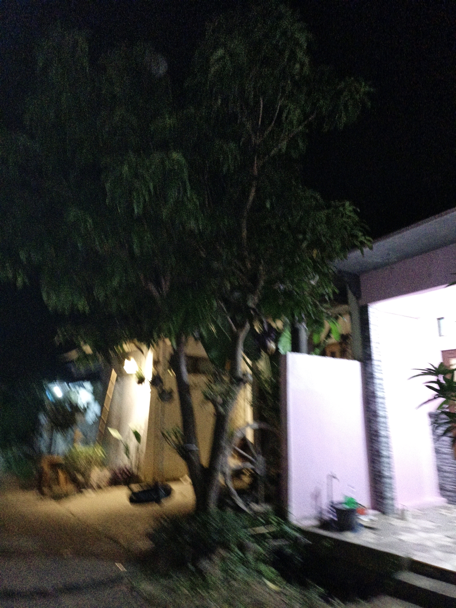 The image depicts a nighttime scene outside a residential building. A large tree with dark green foliage dominates the left side of the frame. The ground appears to be a paved walkway or patio area, with some scattered vegetation. In the background, a building with a light-colored wall and a dark roof is visible. There are also lights illuminating the area, casting a warm glow. On the right side of the building, a pink wall is prominent. A dark object, possibly a bucket with some items, is placed near the base of the pink wall. The overall atmosphere is dark and somewhat blurry, suggesting it was taken with a low-light setting or while in motion. The location is identified as Cikal, Indonesia.