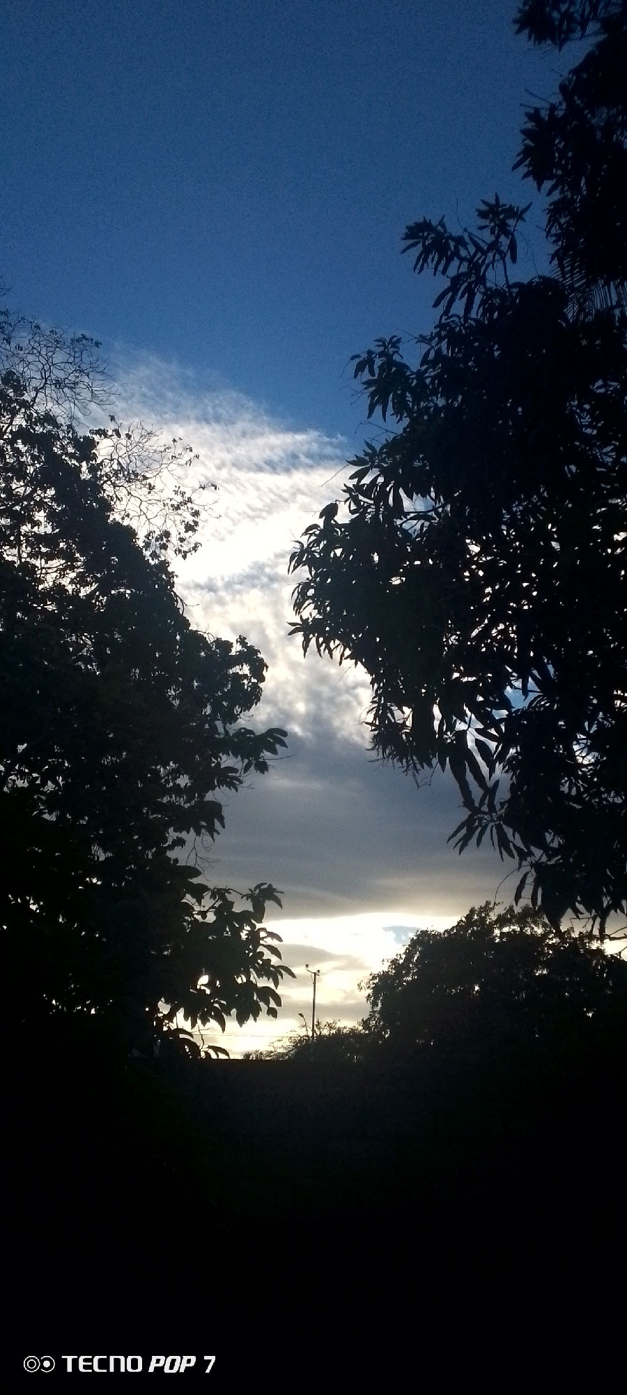 The image captures a silhouette of trees against a twilight sky, likely in Altagracia, Venezuela. The sky displays a gradient of blues and grays, with wispy white clouds illuminated by the setting sun. The trees, dark and dense, frame the sky, with branches and leaves silhouetted against the brighter horizon. The scene appears to be outdoors, with a power pole faintly visible in the distance. The bottom left corner of the image shows the text "TECNO POP 7" indicating the device used for the photograph. There are no people visible in the image.