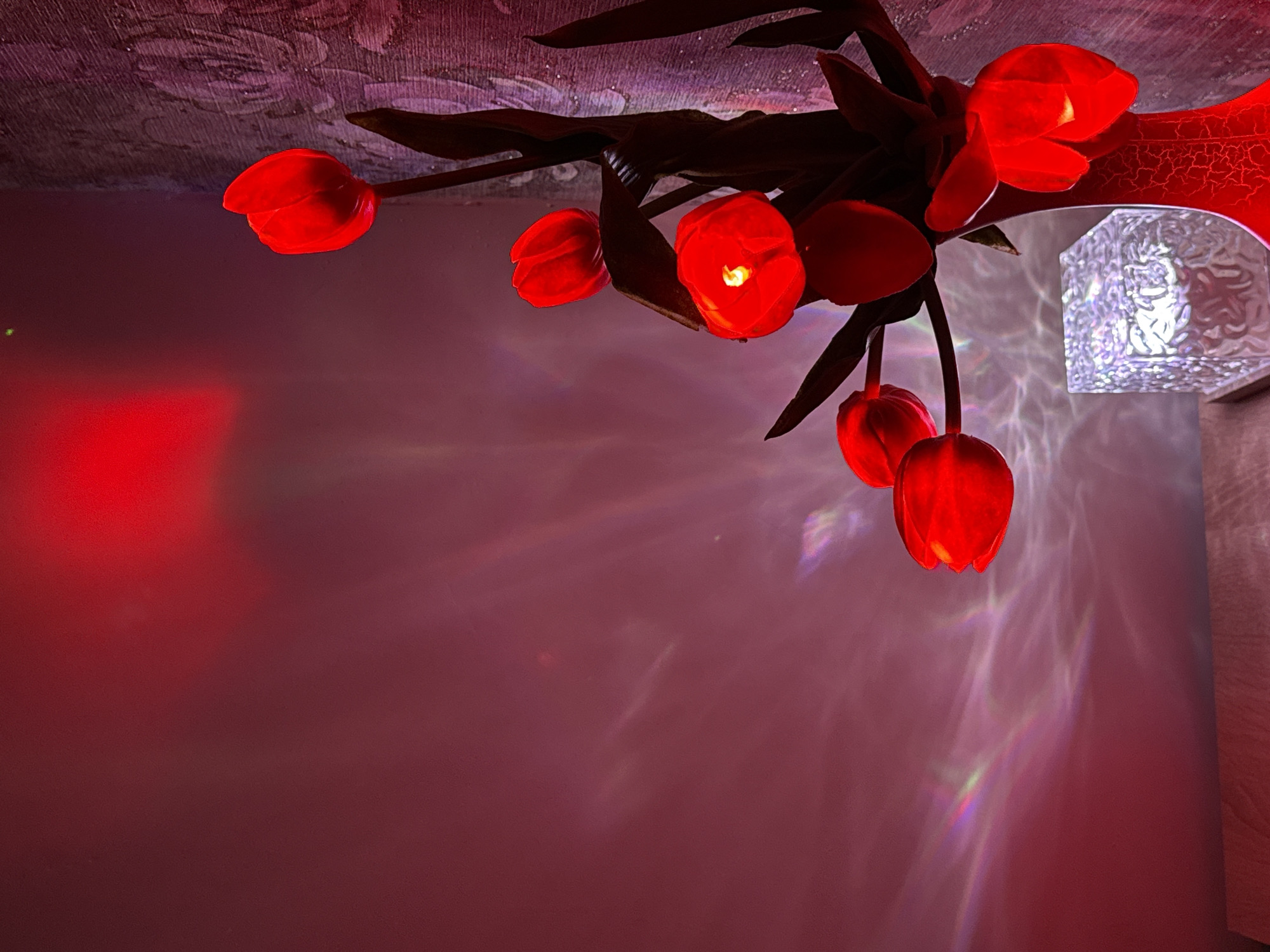 A low-angle shot depicts an arrangement of artificial red tulips against a wall and ceiling. The wall is a gradient of pink, with a darker shade near the bottom. The ceiling is textured with what appears to be a floral pattern. The tulips are arranged in a bouquet-like fashion, with dark stems and leaves. A decorative lamp or sconce is visible on the right, casting light patterns on the wall.