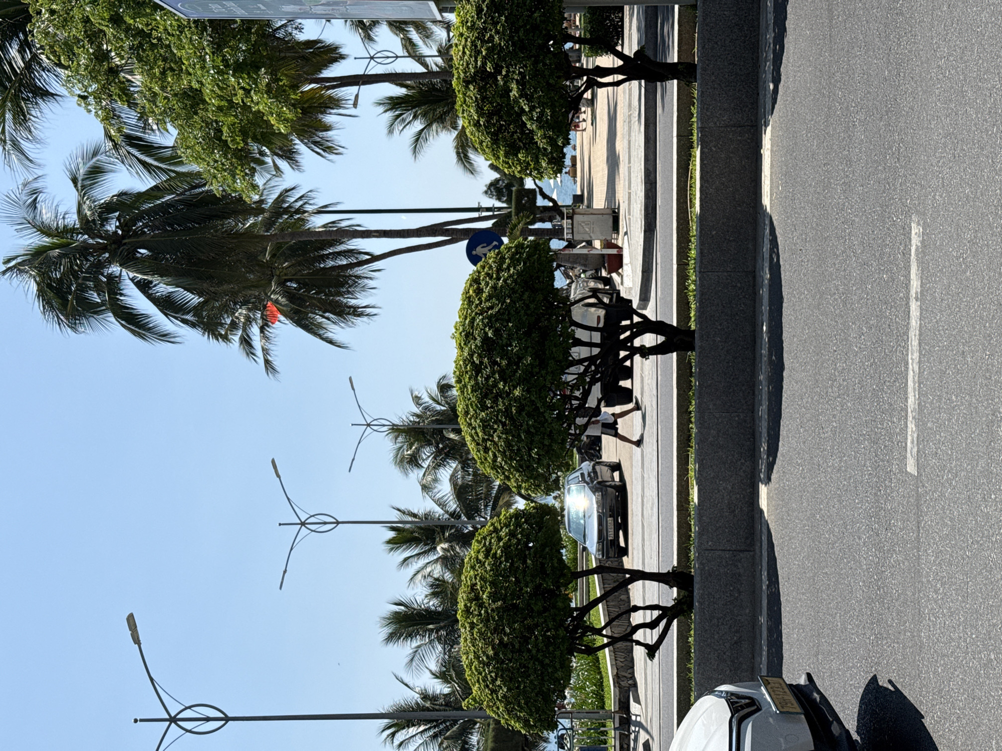 The image captures a sunlit street scene in Nha Trang Ward, Vietnam, likely near the coastline. In the foreground, the asphalt road is visible with a white line marking a lane. A white car is partially seen on the left side. Beyond the road, a sidewalk area features meticulously sculpted green trees with visible branches. A grey sedan with a license plate reading "211-0562" is parked on the sidewalk. To the right of the sedan, a person walks with one leg extended, wearing shorts and a light-colored t-shirt.
Behind the sidewalk, palm trees and other lush greenery dominate the background, suggesting a tropical environment. Several streetlights with a distinctive curved design are interspersed among the trees. In the distance, a clear blue sky extends above. The area appears to be a public space with pedestrian walkways, indicating proximity to a beach or recreational area, as suggested by the glimpse of the sea and people in beach attire further down the walkway. A red flag is visible flying from one of the palm trees.