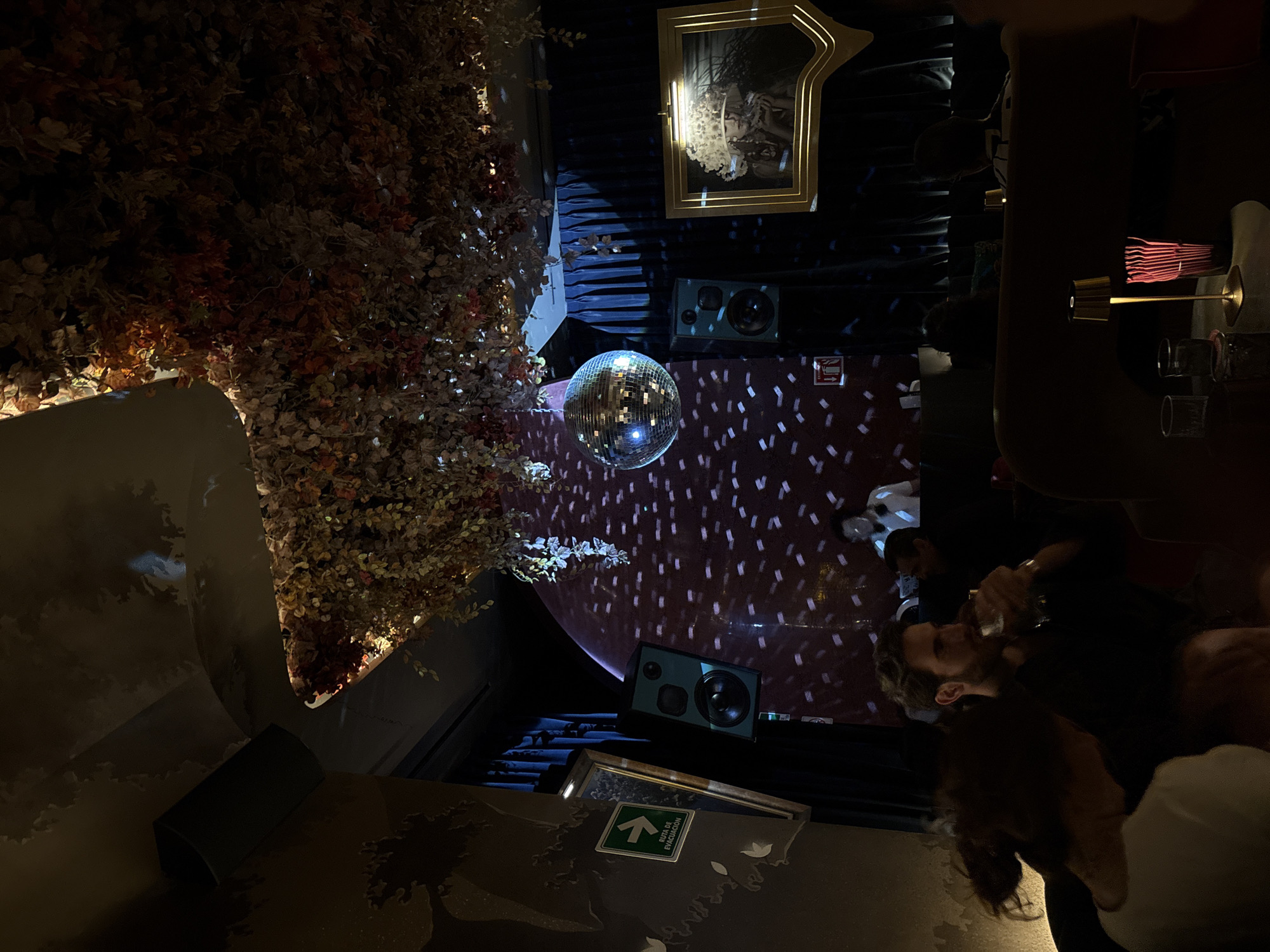 The image shows a dimly lit interior, possibly a bar or lounge in Mexico City. A disco ball hangs from the ceiling, reflecting light onto a wall covered in a pattern of white lines. A speaker sits below the disco ball, and a framed picture hangs above it. To the left, a large wall decoration of faux leaves and flowers extends towards the top of the frame. In the lower right, a group of people can be seen sitting at a table, one of whom is drinking from a glass. An exit sign with a green arrow is visible on a surface in the lower portion of the image. A small lamp with a red shade is on a table on the right side of the scene.