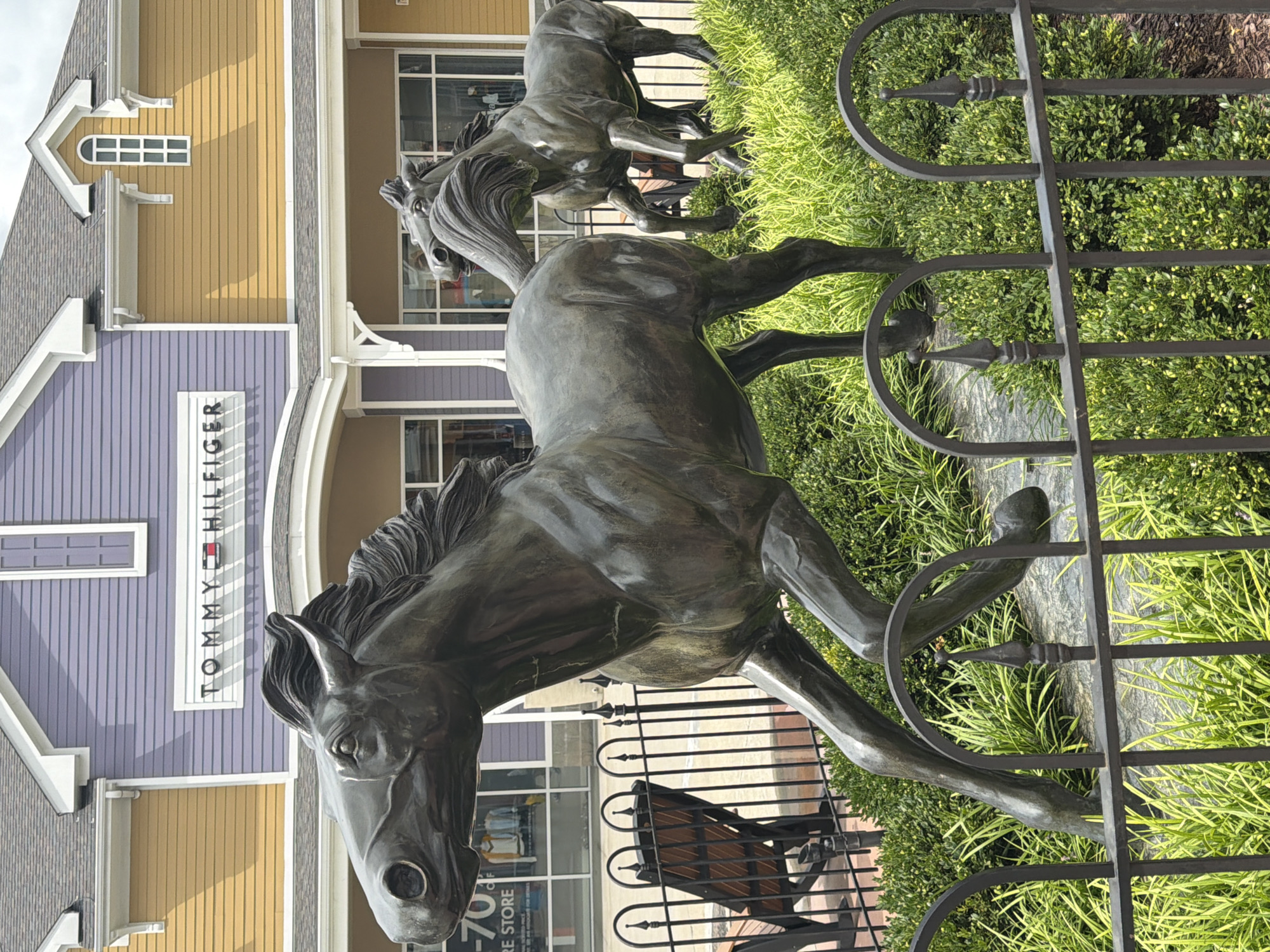 The image shows a group of bronze horse sculptures in front of a Tommy Hilfiger store located in South Strabane Township, United States of America. The horses are positioned in a dynamic pose, as if galloping. The store facade is visible in the background, painted in purple and yellow, with the Tommy Hilfiger logo displayed prominently. There are also windows showing mannequins dressed in clothing. The foreground is filled with green bushes and grass, and a black metal fence runs across the bottom of the frame. In the background, behind the fence, there are two park benches. The sky is cloudy.