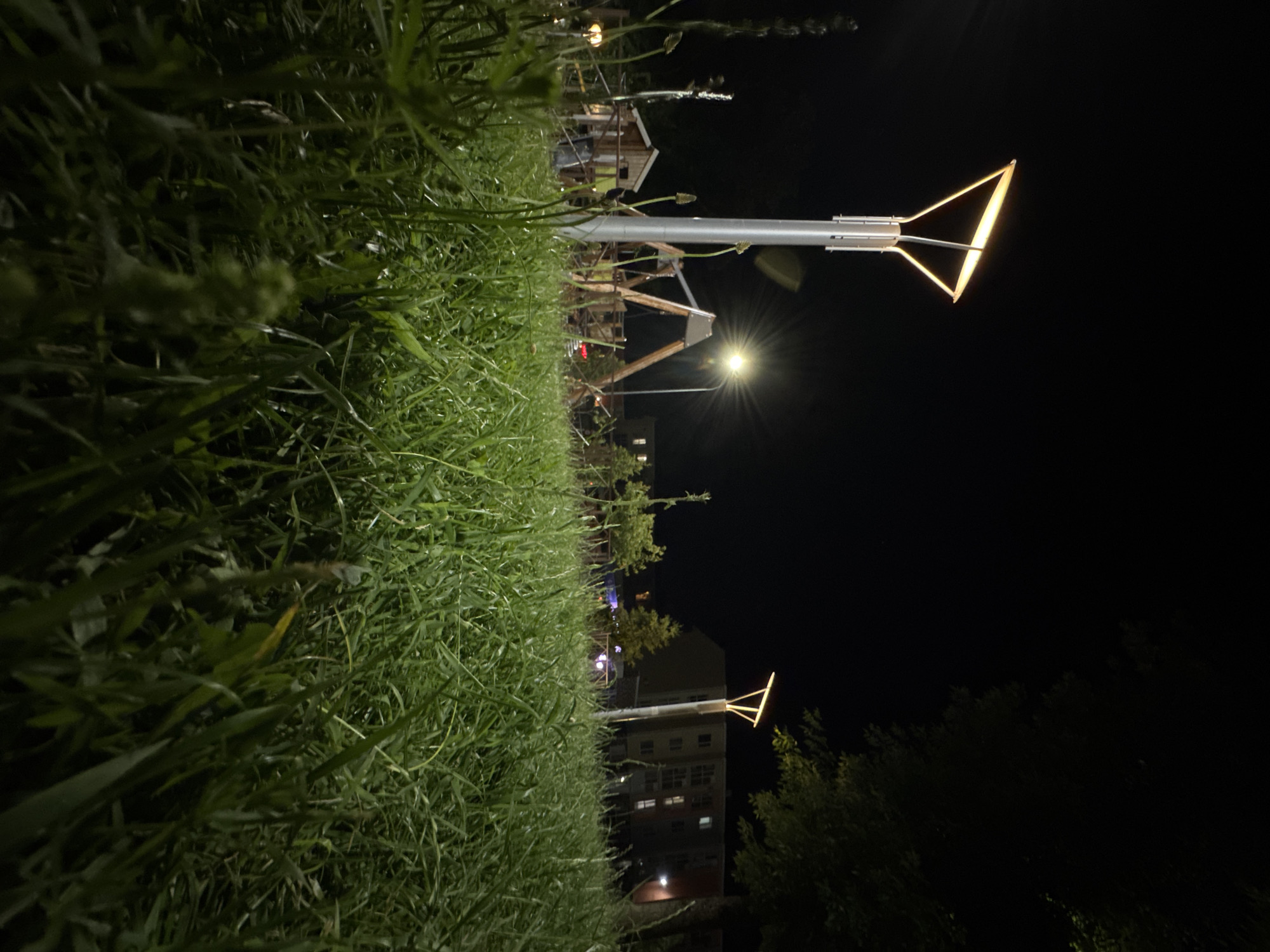 This is a low-angle, wide-shot, outdoor nighttime photograph taken in a park or recreational area in Mikhaylovsk, Russia. The foreground is dominated by lush, green grass, with some blades of grass appearing tall and slightly out of focus. In the midground, a modern-style lamppost with a triangular, illuminated head stands prominently to the left of center. Behind the lamppost, a children's playground structure with wooden beams and a small wooden building is visible. Further in the background, another lamppost is illuminated, and beyond that, a multi-story residential building with visible lit windows stands against the dark night sky. Trees are present on the right side of the frame, their foliage dark against the night sky. The lighting suggests an urban or suburban park setting at night. There are no people visible in the frame.