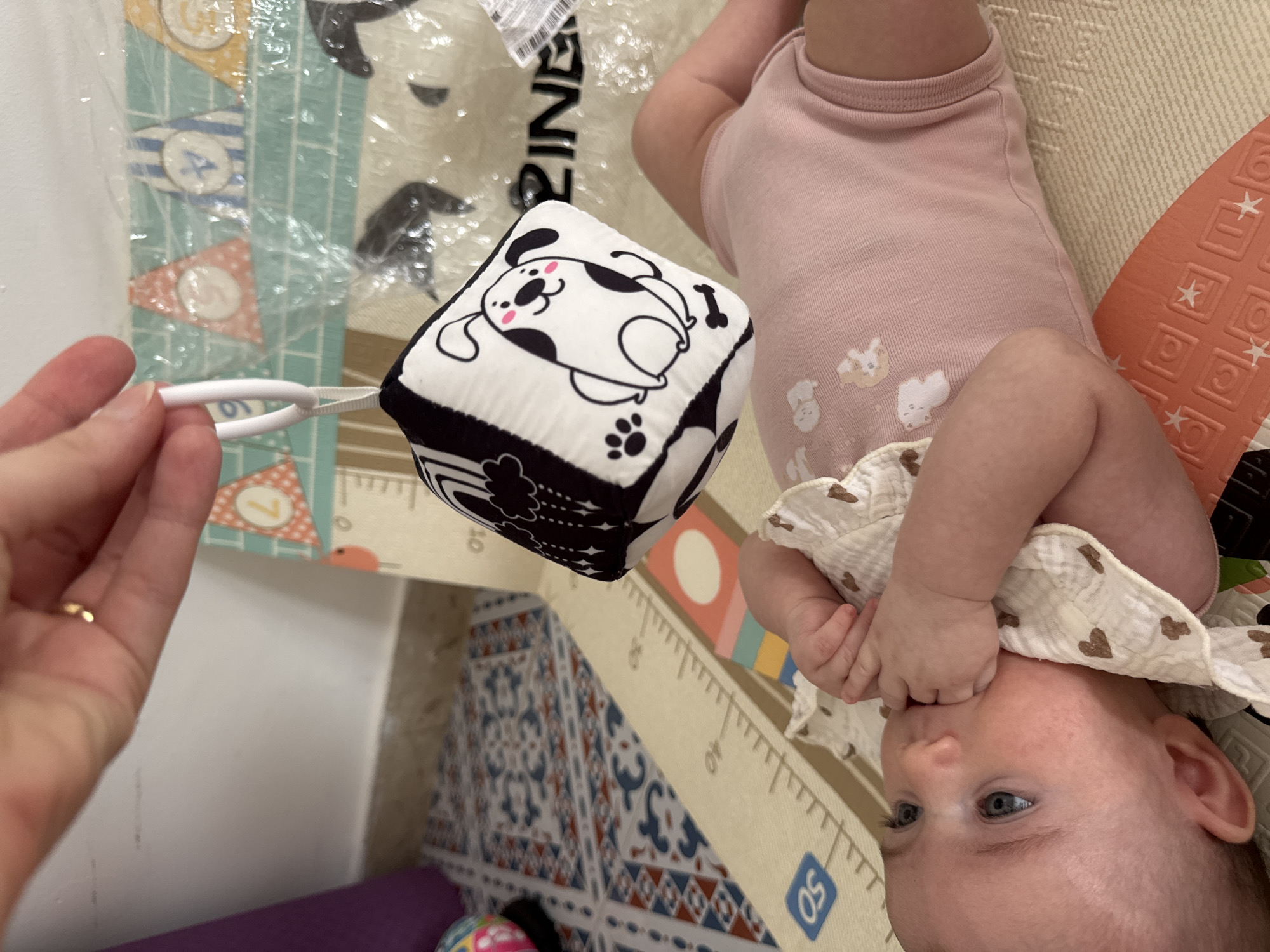 A close-up, eye-level shot shows a baby lying on a play mat. The baby is wearing a pink bodysuit with small white animal prints and a white bib with brown hearts. The baby has blue eyes and is reaching towards a black and white soft cube toy with a dog illustration, held by a hand with a gold ring. The play mat has a ruler-like graphic and a blue "QS" logo. In the background, a colorful patterned rug is visible, and a purple yoga mat is leaning against a white wall. The scene is indoors, possibly in a home. There are no visible indications of the city of Isola delle Femmine, Italy.