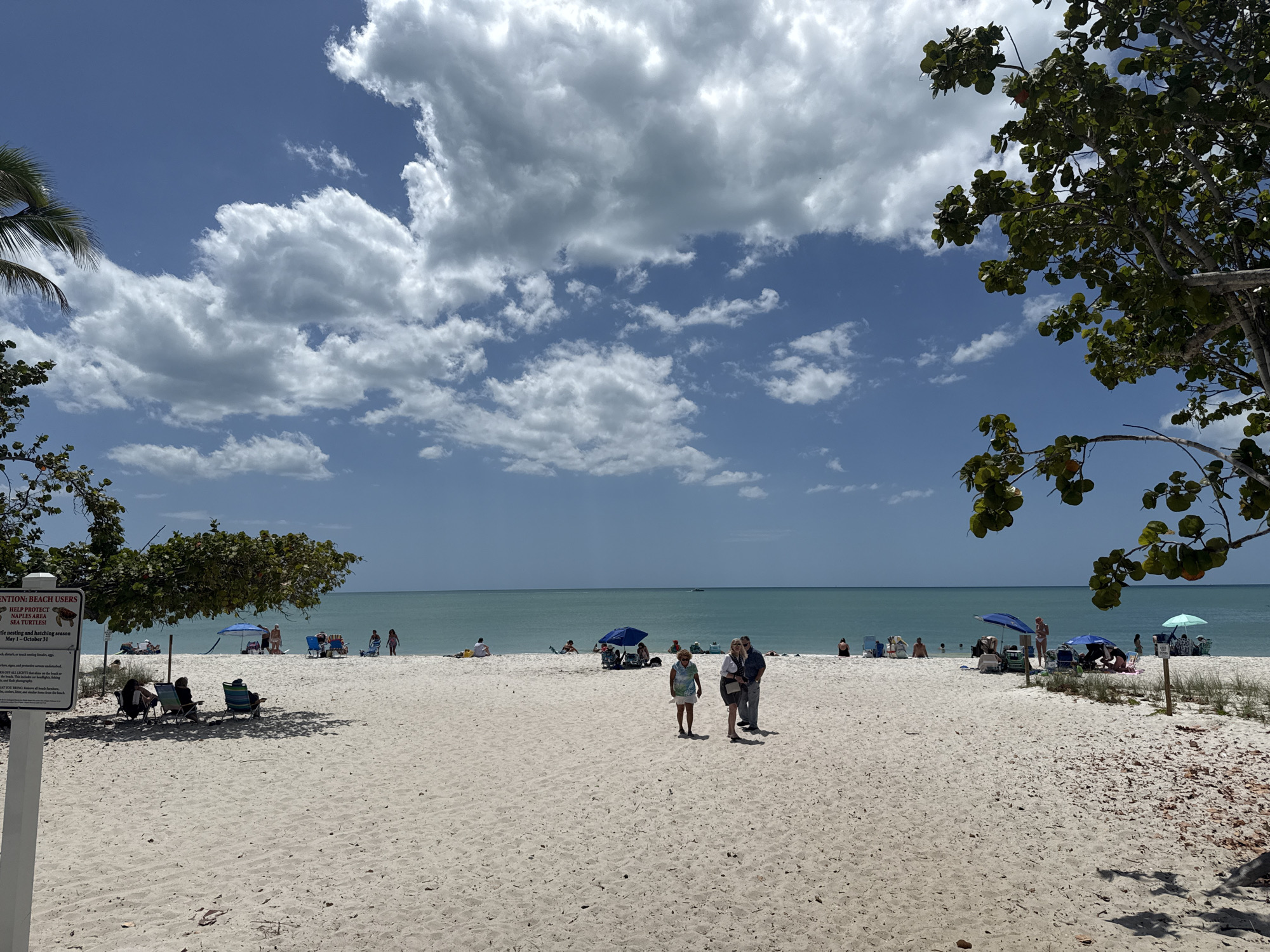 This wide-angle photograph presents a lively beach scene in Naples, United States of America, under a clear, bright sky. The foreground is dominated by extensive stretches of light-colored, fine sand, leading towards the calm, turquoise waters of the ocean in the distance. The horizon line is distinct, separating the tranquil sea from a vast blue sky adorned with scattered, fluffy white cumulus clouds.
On the left side of the frame, partially obscured by green foliage, a white sign is visible. The legible text on the sign indicates important information for beachgoers, reading: "ENTION: BEACH USERS", "HELP PROTECT", "NAPLES AREA", "SEA TURTLES!", and specifies "nesting and hatching season May 1 - October 31". Lush green trees and foliage also frame the right side of the image, with some branches extending into the upper right corner.
Numerous individuals and small groups are enjoying the beach. In the midground, three people—two adults and a child—are seen walking casually across the sand towards the viewer. Further back, along the shoreline, other beachgoers are dispersed. Some are relaxing in beach chairs or under the shade of trees and bright blue beach umbrellas, while others are closer to the water's edge, possibly wading or swimming. A small boat can be faintly seen on the distant ocean horizon.
The scene depicts a sunny day, likely late morning or early afternoon, with clear weather ideal for outdoor activities. The overall mood is one of leisure and relaxation, typical of a popular beach destination.