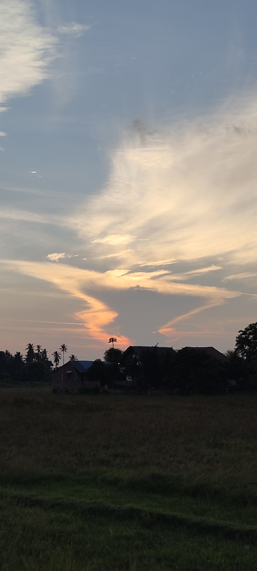 This is a vertical, full shot photograph taken at dusk in Cotiju, Indonesia. The foreground is a field of dry grass. In the mid-ground, a cluster of silhouetted buildings and trees are visible. The buildings appear to be houses, one with a darker roof and another lighter, with a single window visible. To the left of the houses, a line of palm trees stands against the sky. A tall, narrow structure with a distinct silhouette of what appears to be branches or a cage-like top is located between the houses. The sky is filled with clouds, with the setting sun casting an orange and yellow glow through them, creating an abstract, wing-like formation in the clouds. The overall impression is one of rural tranquility as day turns to night.