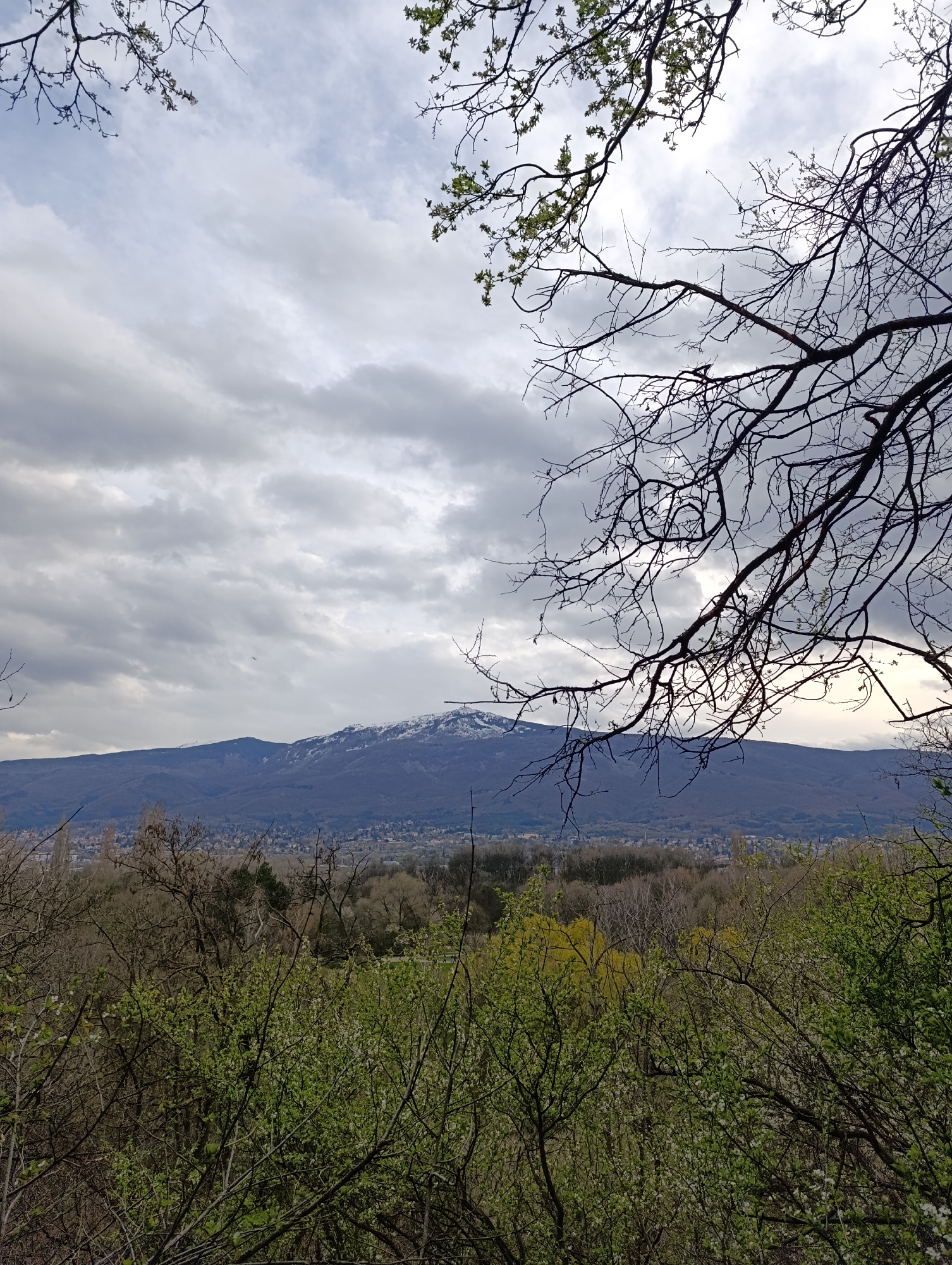 The image presents a view of Vitosha Mountain from within a forested area. In the foreground, there are dense bushes with hints of green foliage indicating early spring. Above the bushes, a distant cityscape is visible at the base of the mountain, likely part of Sofia. Vitosha Mountain, the most prominent feature, is mostly covered in a dark shade with some snow patches near the peak. The sky is overcast with a mix of gray and white clouds. Bare tree branches frame the upper portion of the shot.