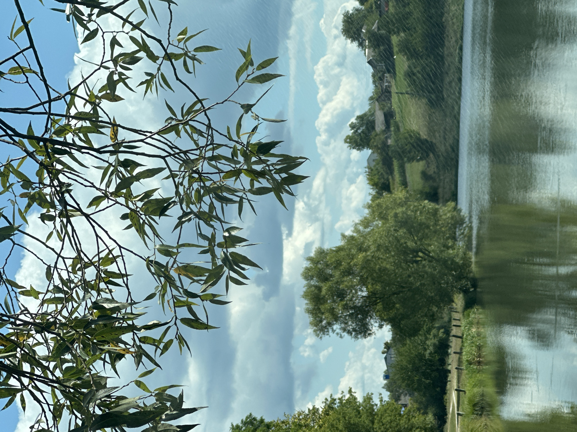The image captures a serene natural landscape. In the foreground, branches with green leaves hang down from the top, framing a view of a calm body of water. The water's surface reflects the sky and the surrounding trees, creating a soft, mirrored effect. Across the water, a gentle, grassy slope rises, dotted with trees and a few houses, suggesting a rural setting. The sky above is a mix of blue and white clouds, adding depth and atmosphere to the scene. The image does not contain any people. The location is identified as Makiv, Ukraine.