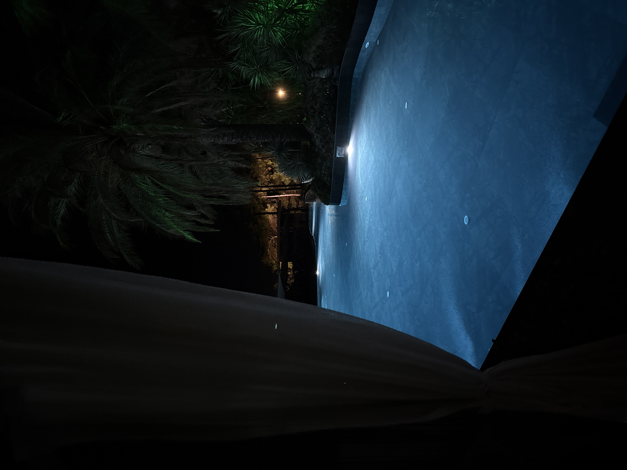 An illuminated swimming pool in a tropical setting at night in Bodrum, Turkey. The pool is a deep blue and has several lights on the bottom. A large palm tree is visible to the right of the pool, and lush green foliage surrounds it. A light-colored curtain hangs in the foreground on the left side of the image. In the background, there are some structures and trees.