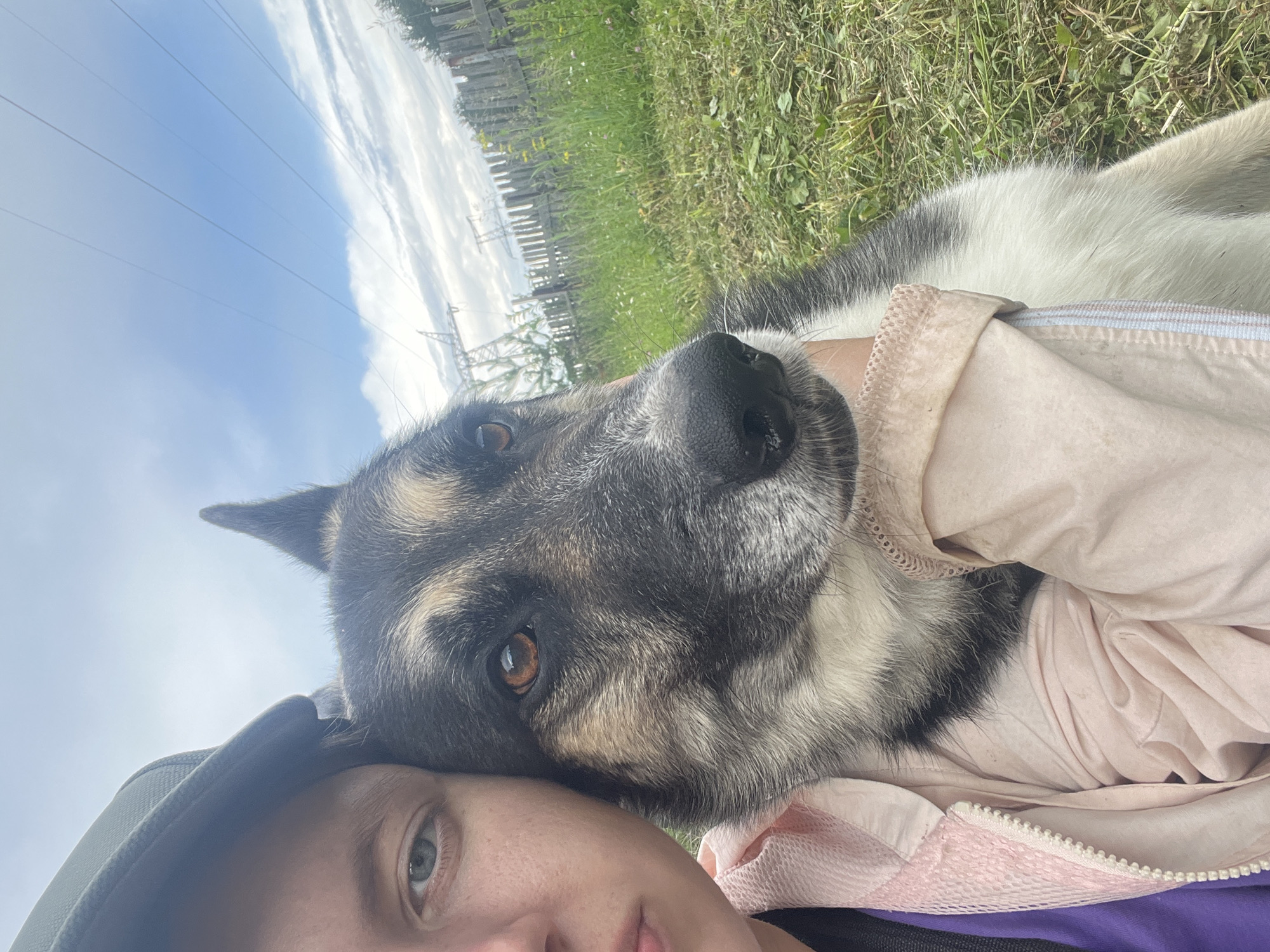 This is a close-up, first-person selfie taken outdoors on a cloudy day. The foreground is dominated by the face of a person wearing a green cap and a light pink jacket. Resting on the person's head and shoulder is a large dog, likely a German Shepherd mix, with black, gray, and tan fur. The dog's head is turned towards the camera, with its brown eyes looking directly at the viewer. The person's left eye is also visible, looking towards the camera.
In the background, a grassy field with some wildflowers can be seen, along with a weathered wooden fence. Beyond the fence, there are power lines and transmission towers against a bright sky with scattered clouds. The overall scene suggests a rural or semi-rural setting. The lighting indicates it is daytime, likely late morning or afternoon. The image has a casual and intimate feel, with the dog appearing relaxed and close to the person. There is no visible text in the image. The location context provided is Nizhny Tagil, Russia.