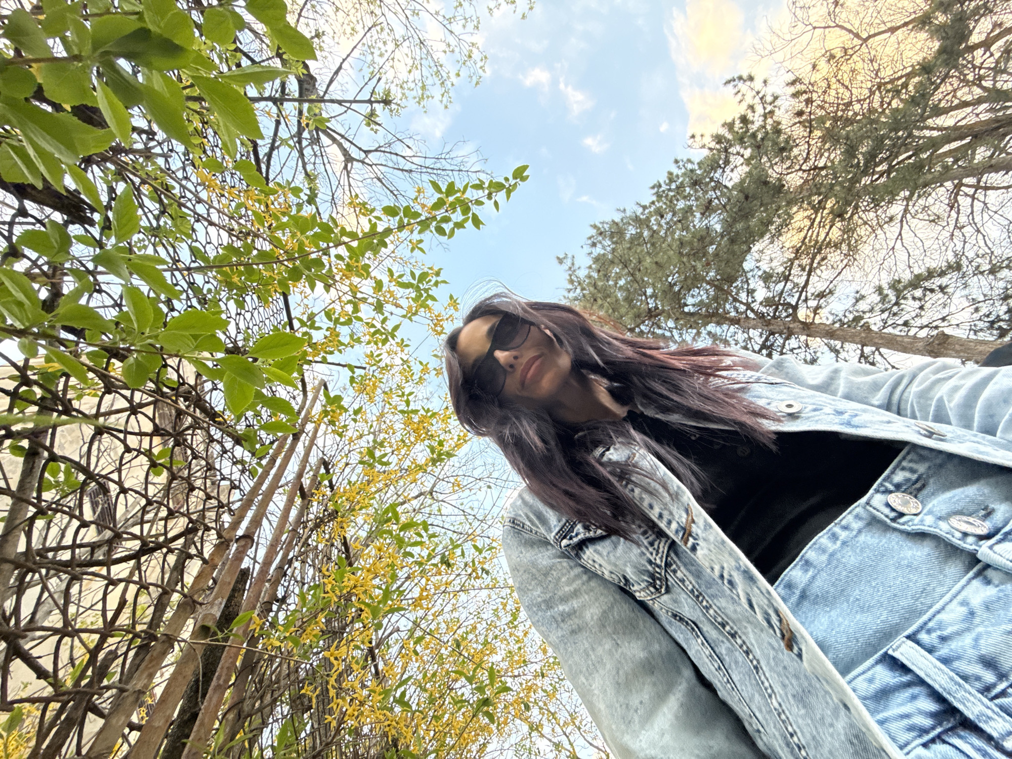A low-angle shot captures a person with dark hair and sunglasses, wearing a denim jacket. The individual is positioned against a backdrop of trees, some with green leaves and yellow blossoms, reaching towards a partly cloudy sky. To the left, a section of a weathered fence is visible. The setting appears to be outdoors, potentially in a park or wooded area. No information is available to infer a location in Pleven, Bulgaria.