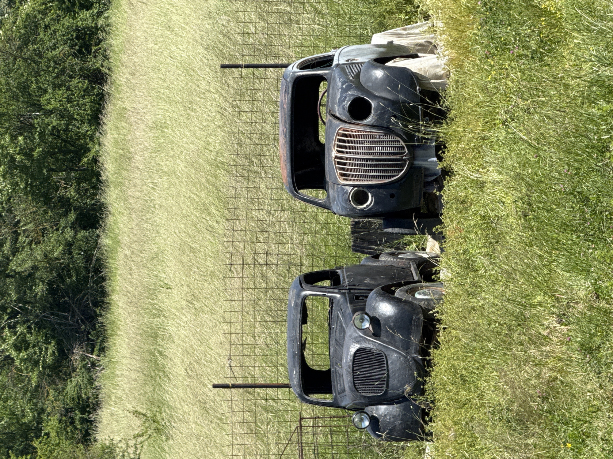 Two rusted truck cabs sit abandoned in a grassy field, adjacent to a wire fence. The surrounding environment includes green foliage of grass and trees. No people are visible. The location is presumed to be Omurtag, Bulgaria.