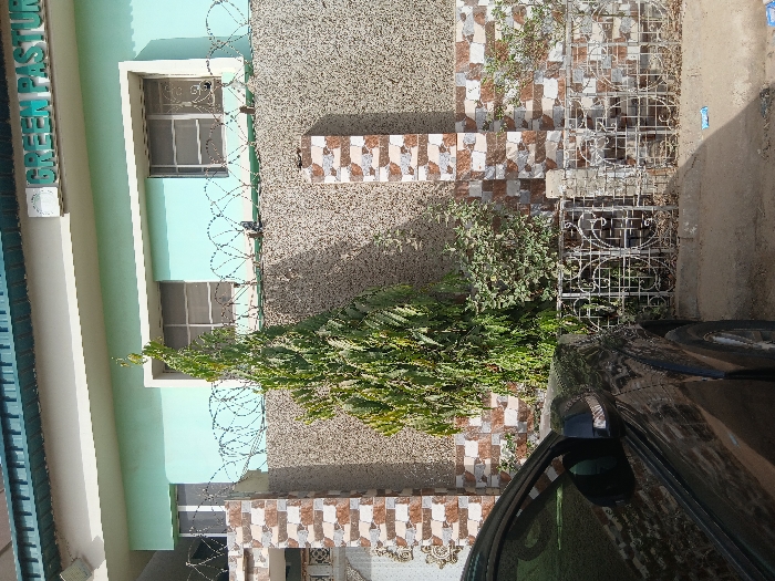 The image captures an exterior scene in Mgbidi, Nigeria, depicting the facade of a building, a perimeter wall, and a parked vehicle. The building's upper section features a light blue wall with two visible windows equipped with security grilles. A white fascia board runs beneath a dark green roofline, displaying a white rectangular sign with green text reading "GREEN PASTOR" (likely "GREEN PASTURES"). Below the light blue section is a textured grey wall, interspersed with vertical columns of brown and beige patterned tiles. This wall is topped with coiled razor wire. A low, white metal fence with decorative scrollwork stands at ground level. Behind this fence, a tall, slender tree with light green foliage and other shrubbery are planted. On the left side of the frame, the front quarter of a dark-colored vehicle, including its side mirror and a portion of the fender, is visible. The foreground ground surface is unpaved, showing some minor debris, specifically a blue wrapper on the right. No individuals are present.
