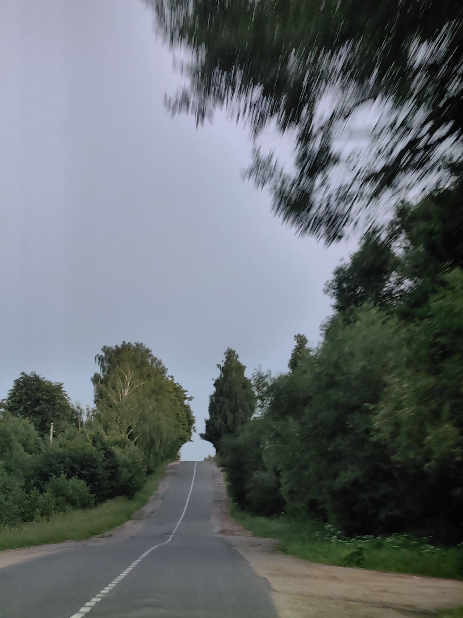 The image captures a view of a paved road leading uphill through a forested area. The road is bordered by dense green foliage, with various types of trees forming a natural canopy. The sky is overcast and light gray, suggesting it might be early morning or late evening, or perhaps a cloudy day. The motion blur in the upper part of the image indicates that the photo was likely taken from a moving vehicle. The overall impression is one of a rural or semi-rural landscape in Belarus, possibly near the Fanipal district. There are no people or visible text in the image.