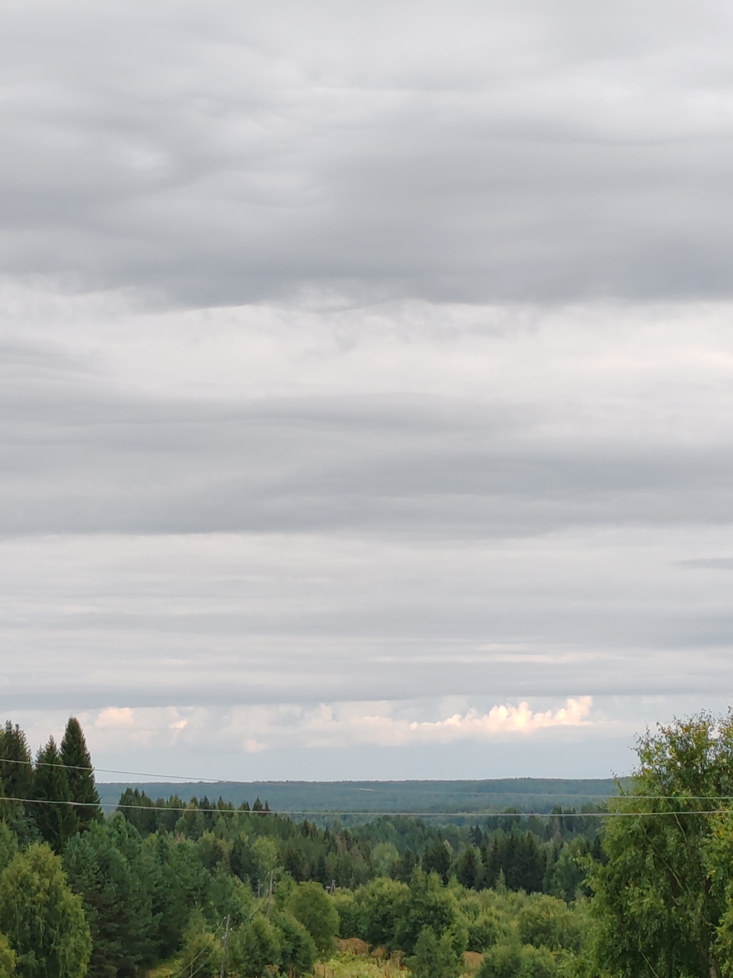 The image shows a panoramic view of a dense forest under a cloudy sky. The sky is filled with horizontal layers of grey clouds, with some lighter patches indicating breaks or thinner cloud formations. Below the sky, a vast expanse of green trees dominates the landscape. The forest appears to be a mix of coniferous and deciduous trees, with varying shades of green indicating different species and densities. In the foreground, some trees are more prominent, with one on the far right having bright green foliage. Power lines are visible stretched across the middle ground, running horizontally. The overall impression is one of a natural, rural environment, likely in a northern climate given the tree types. The location is identified as a rural area near the city of Chukhloma, Russia.